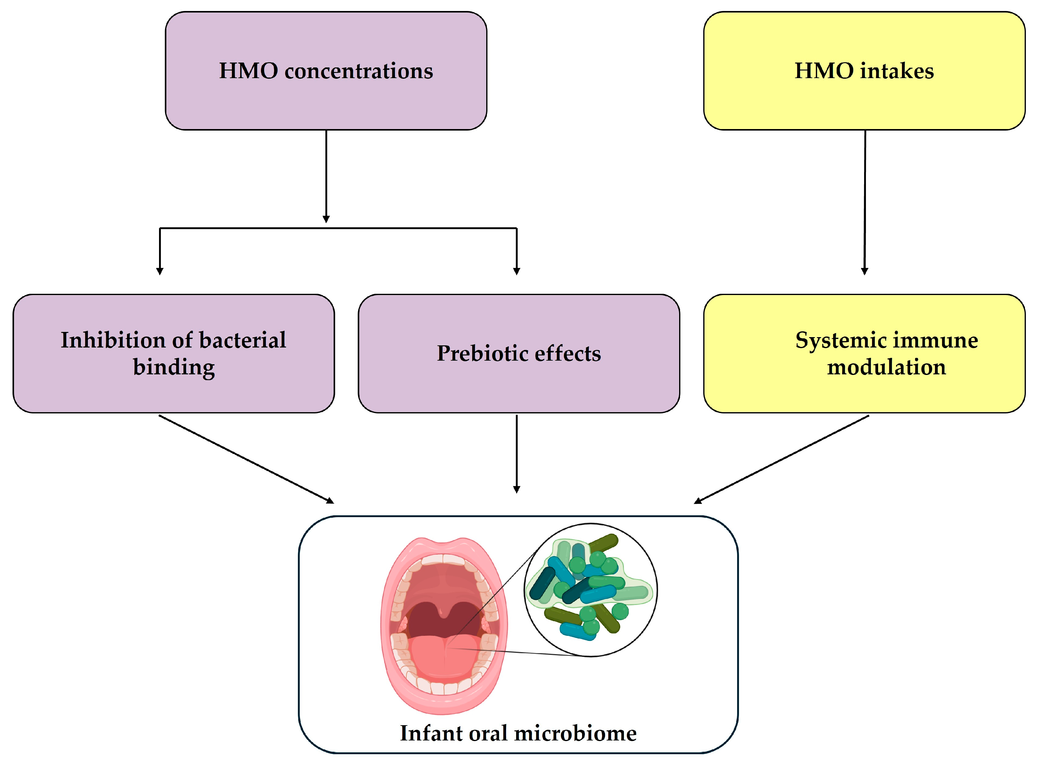 Nutrients 17 03622 g001