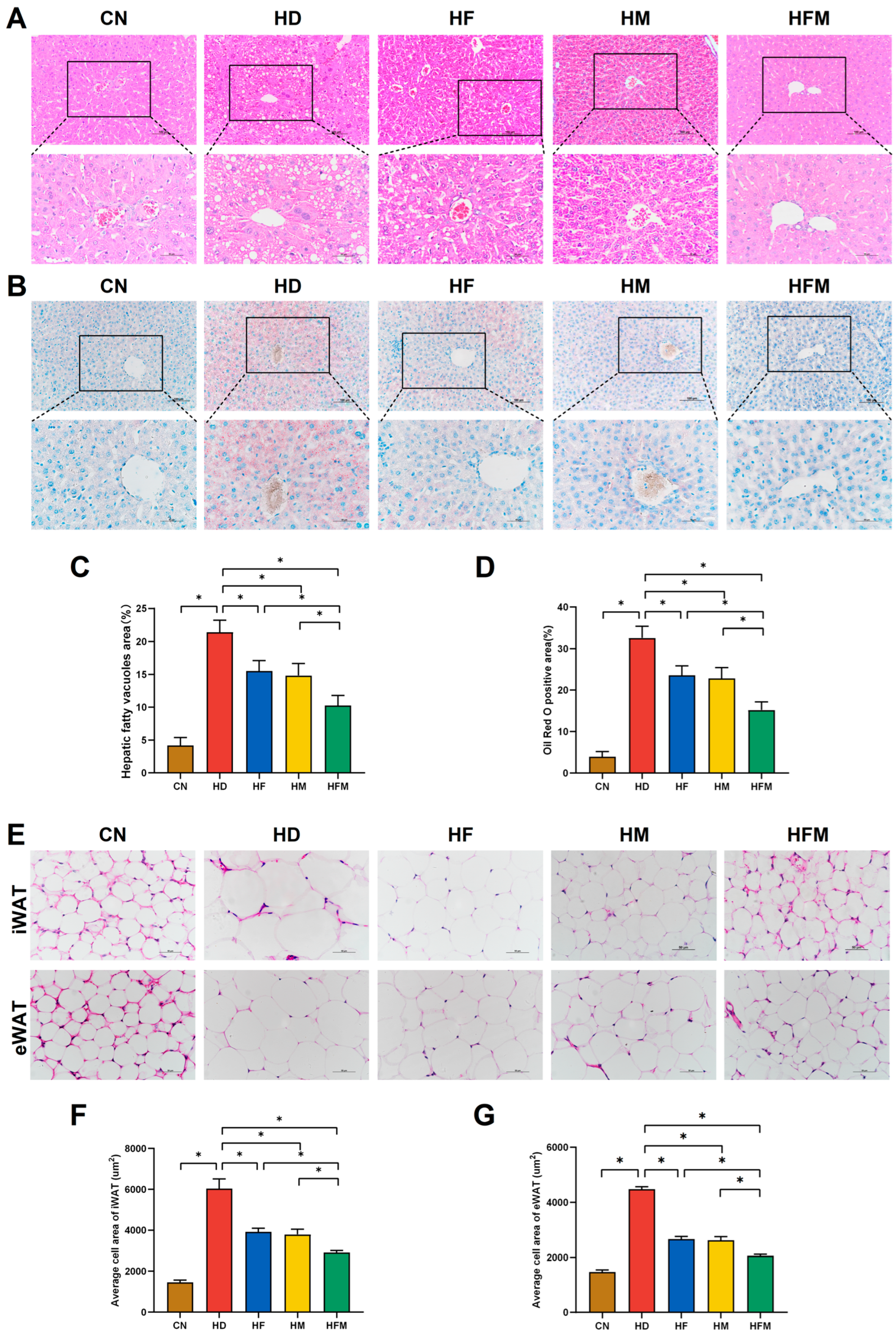 Nutrients 17 03641 g005