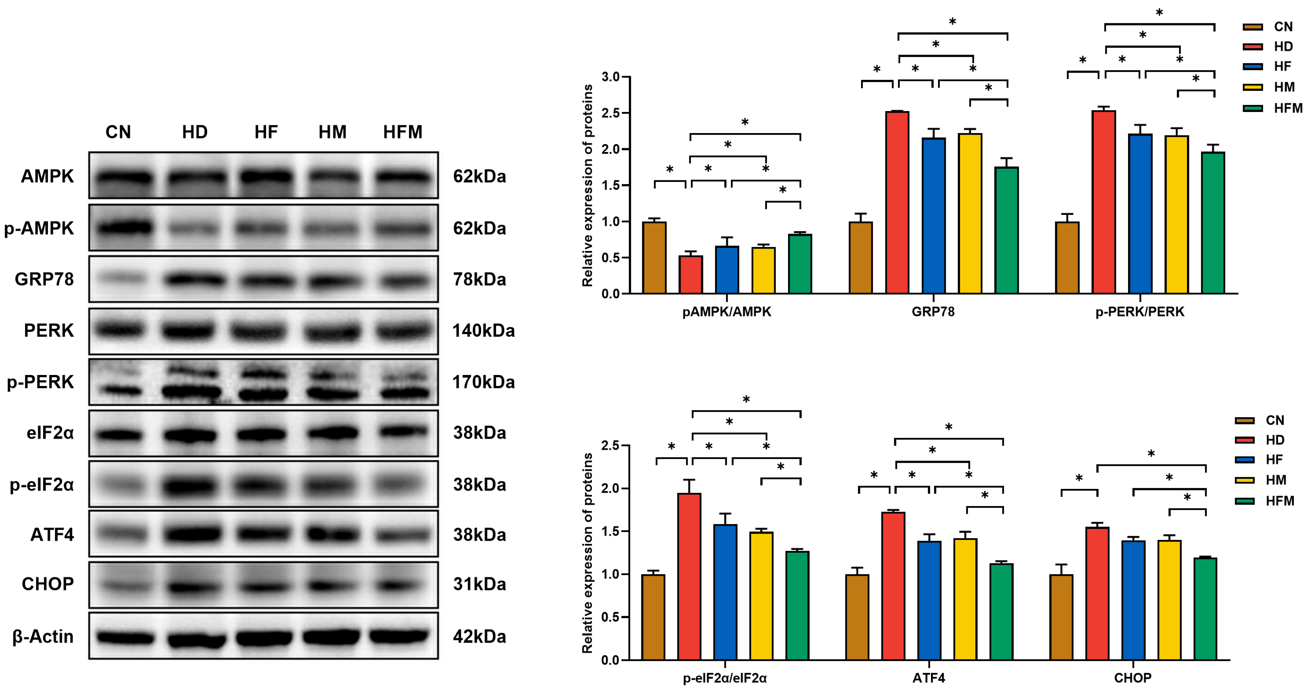 Nutrients 17 03641 g007