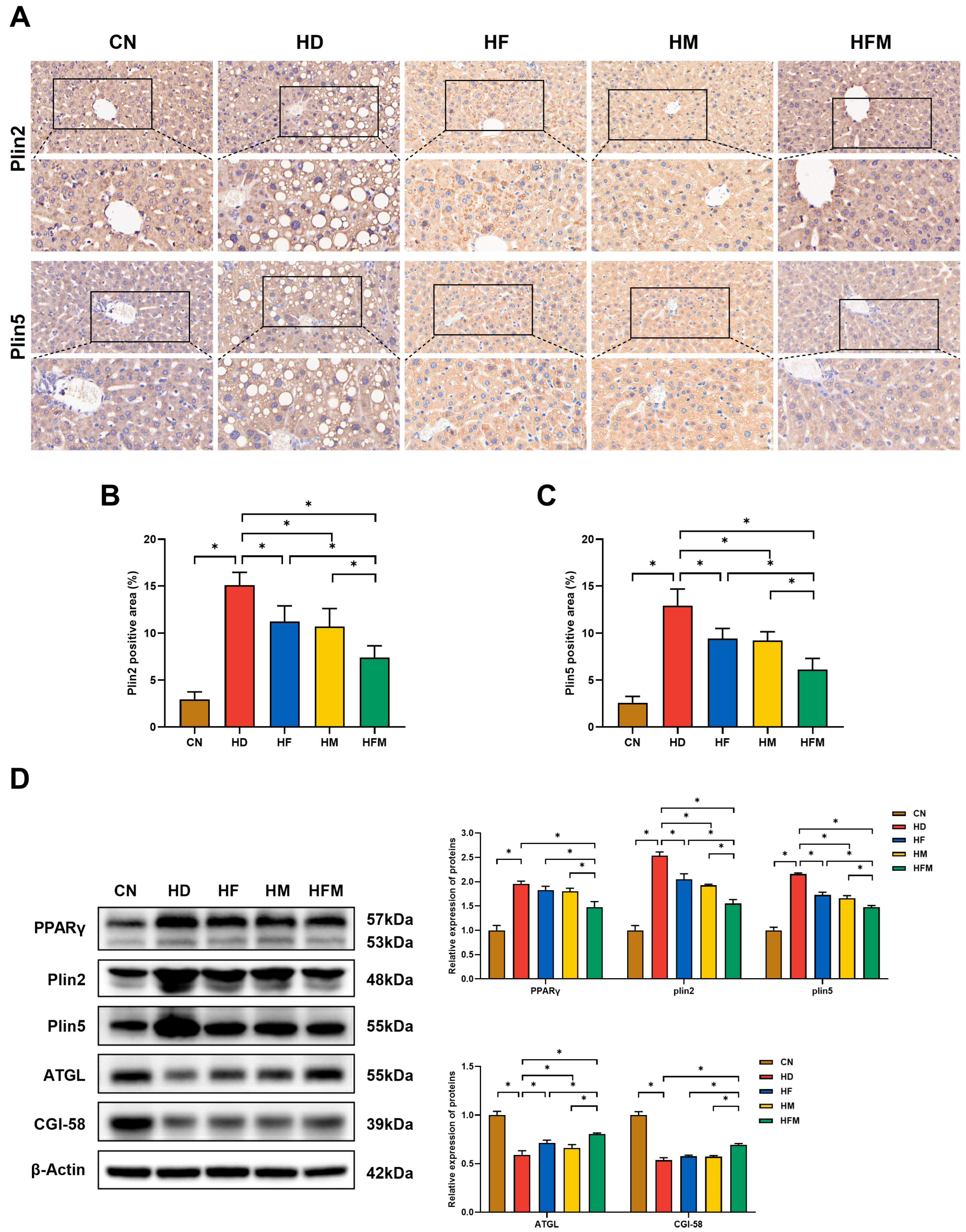 Nutrients 17 03641 g008