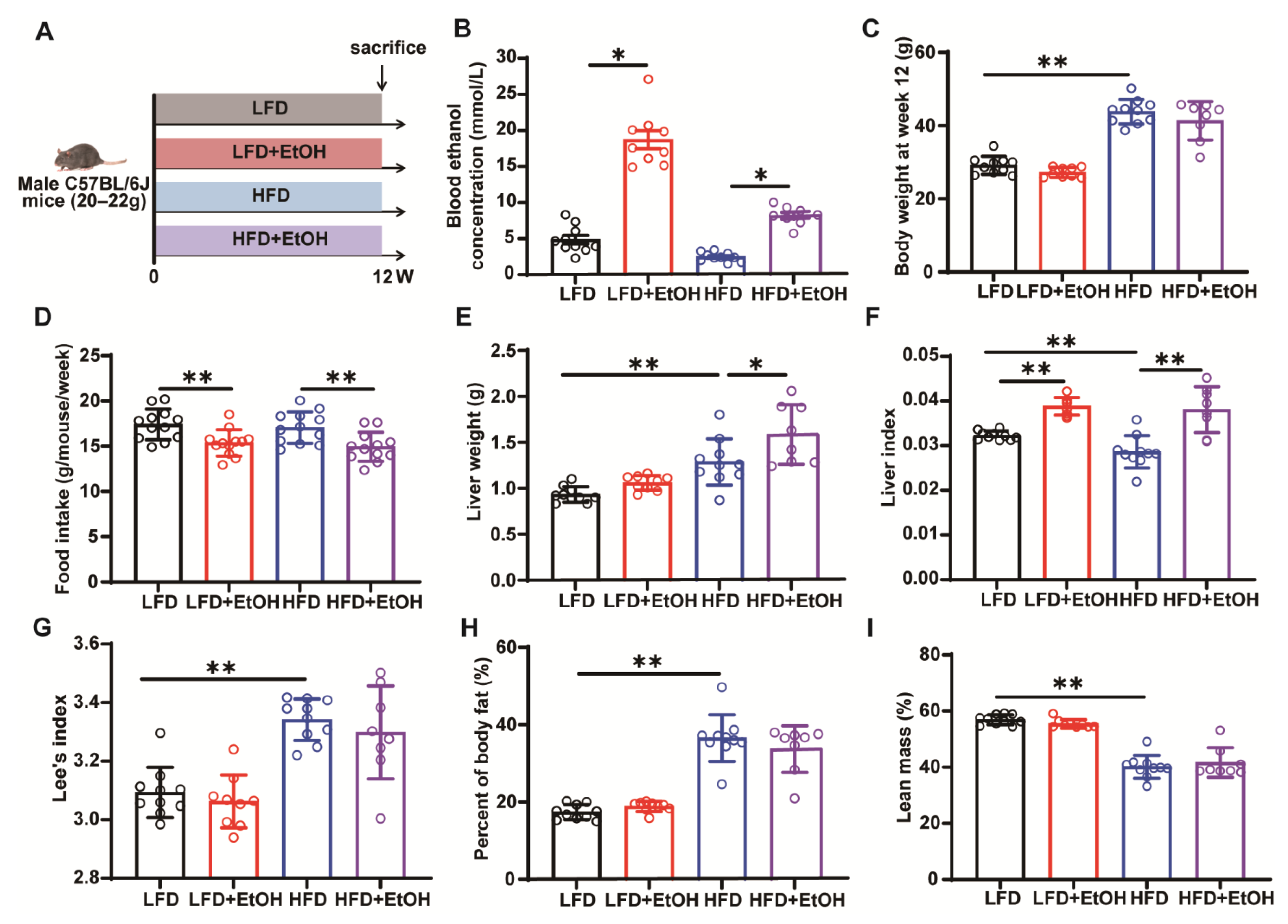 Nutrients 17 03658 g001