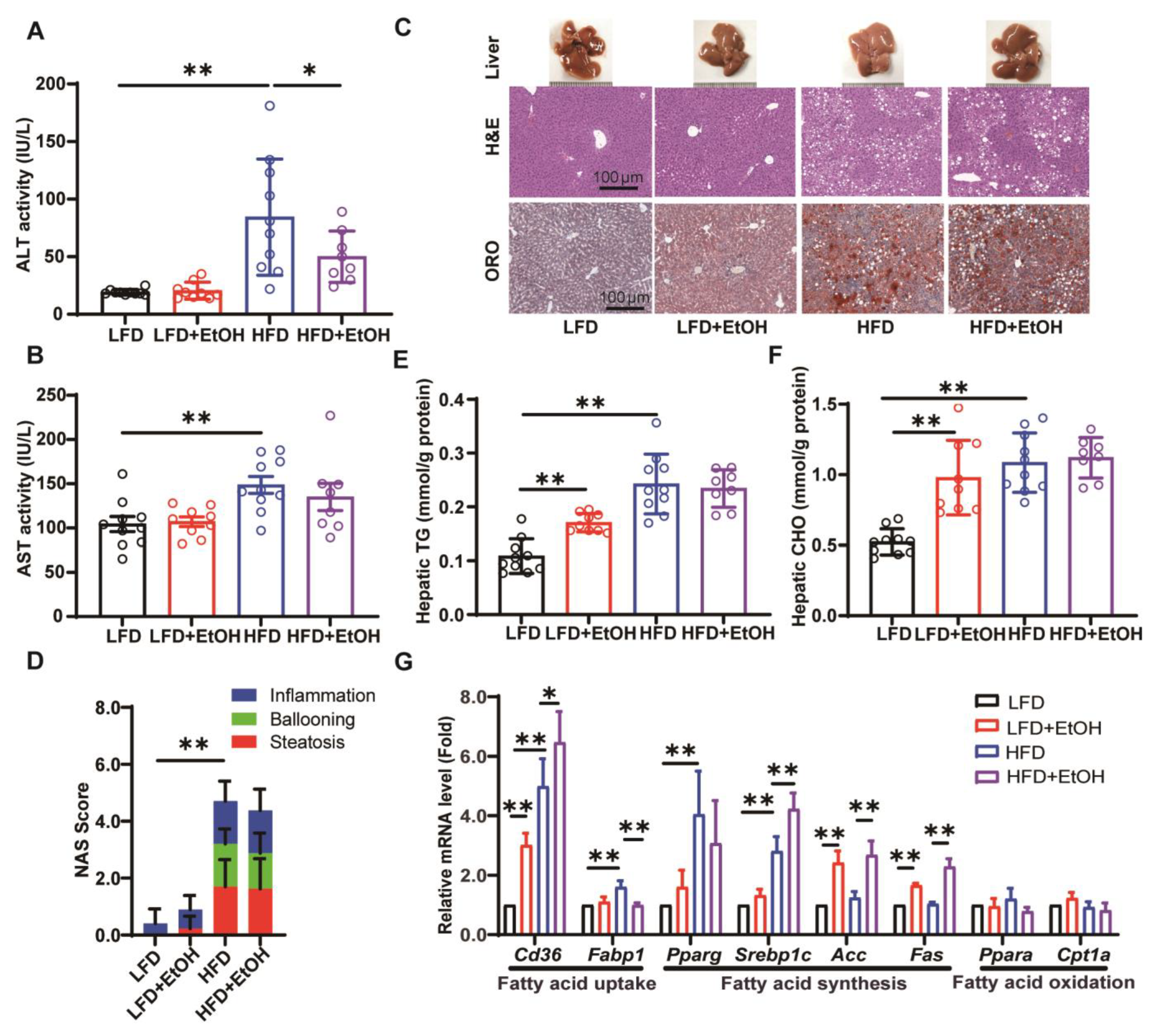 Nutrients 17 03658 g003