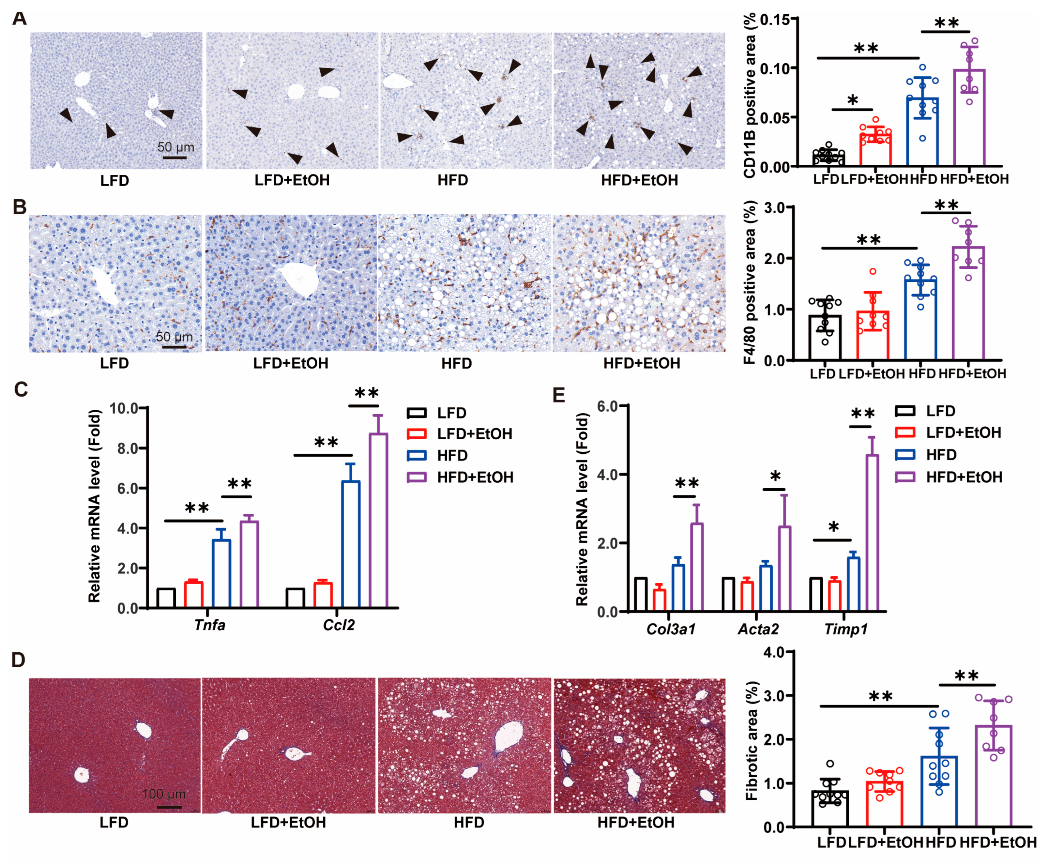 Nutrients 17 03658 g004