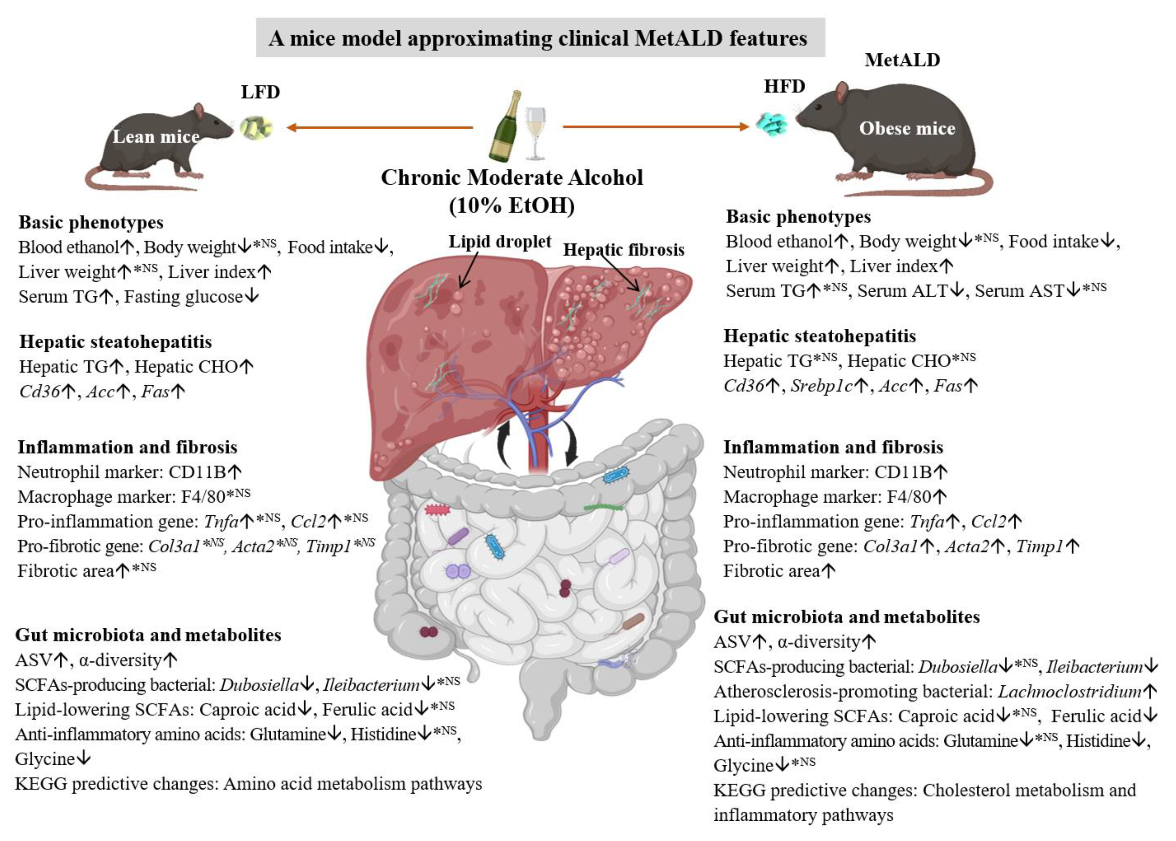 Nutrients 17 03658 g007