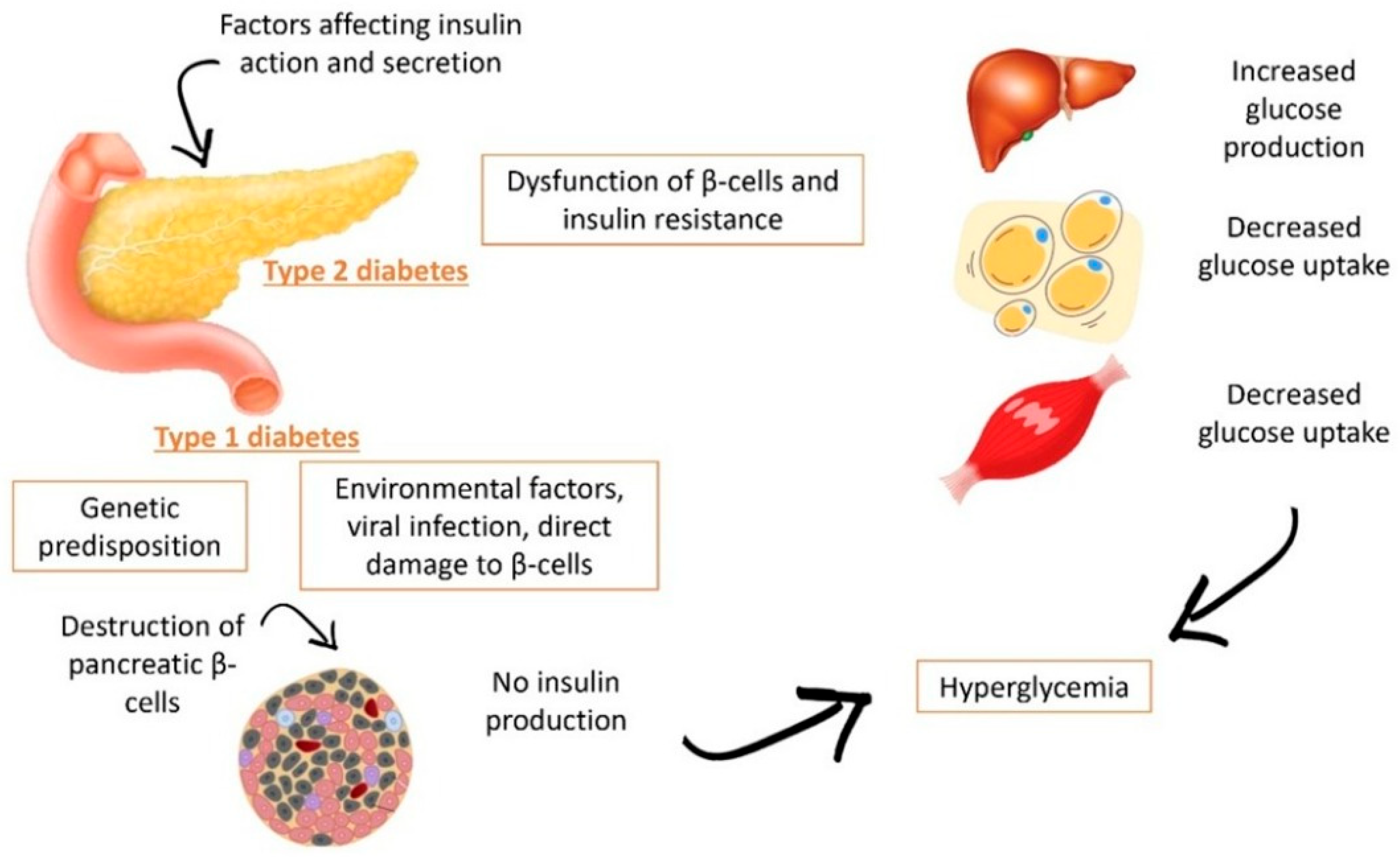 Nutrients 17 03661 g001