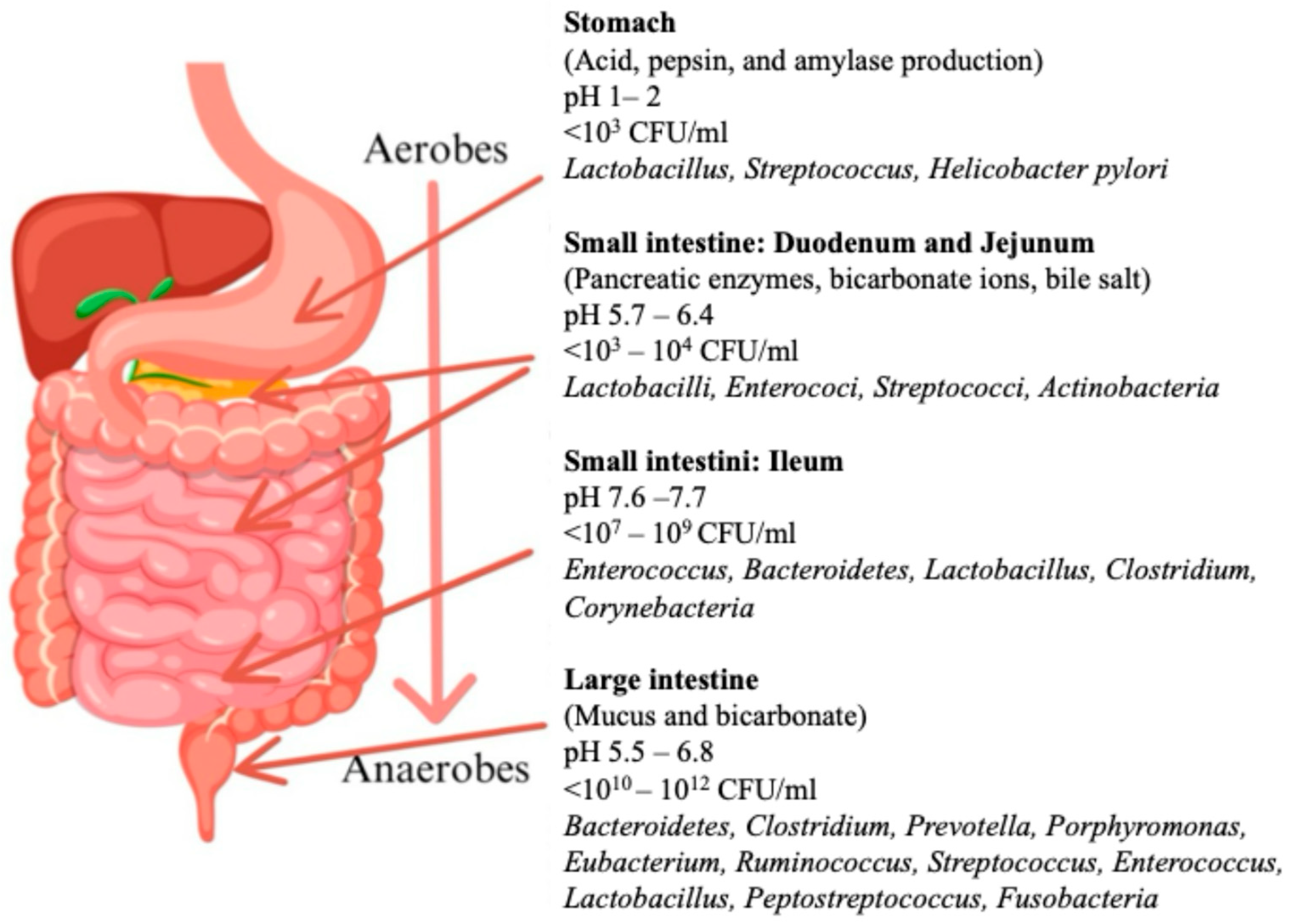 Nutrients 17 03661 g002