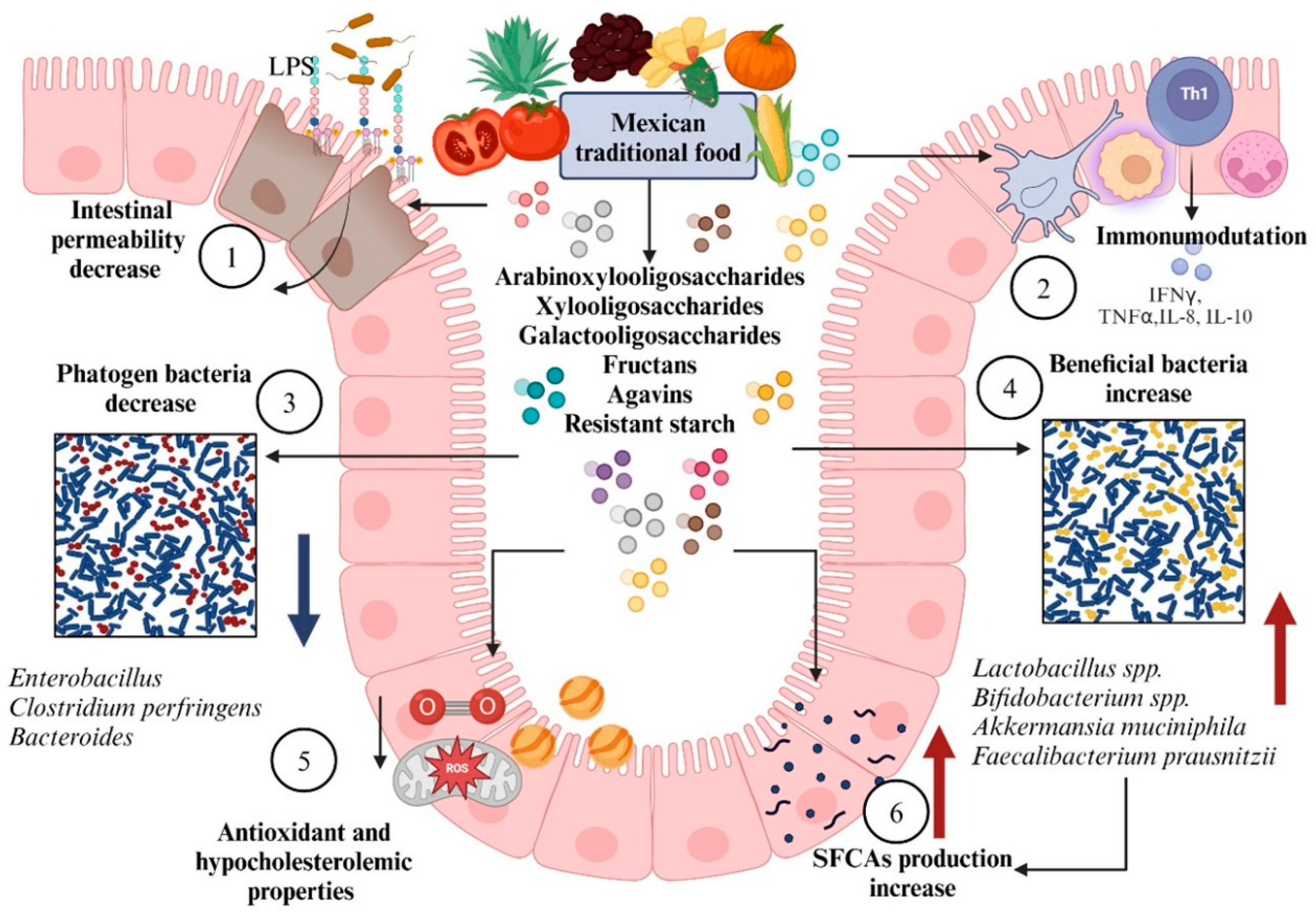 Nutrients 17 03661 g003