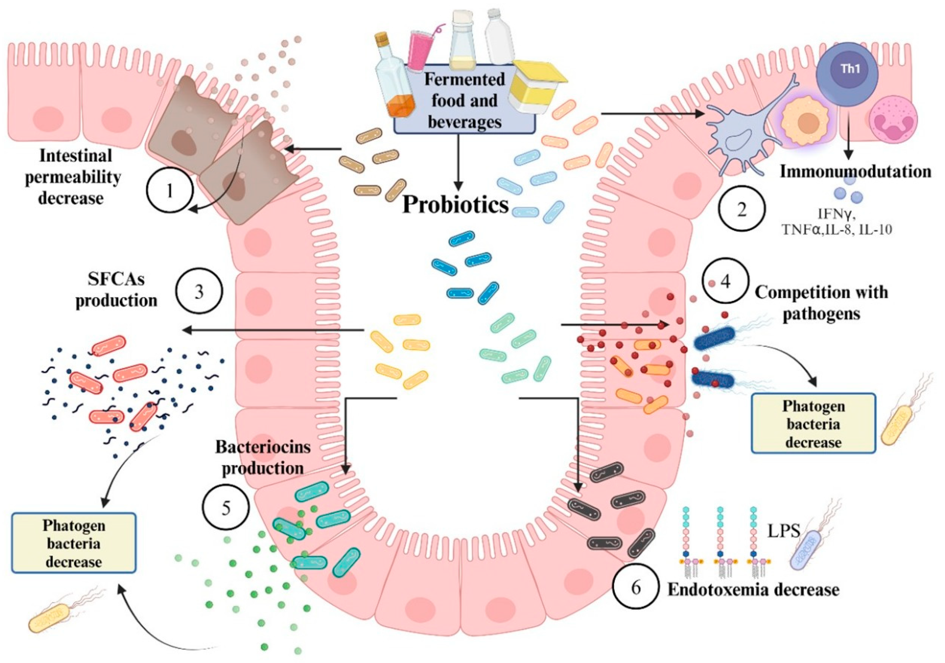 Nutrients 17 03661 g004