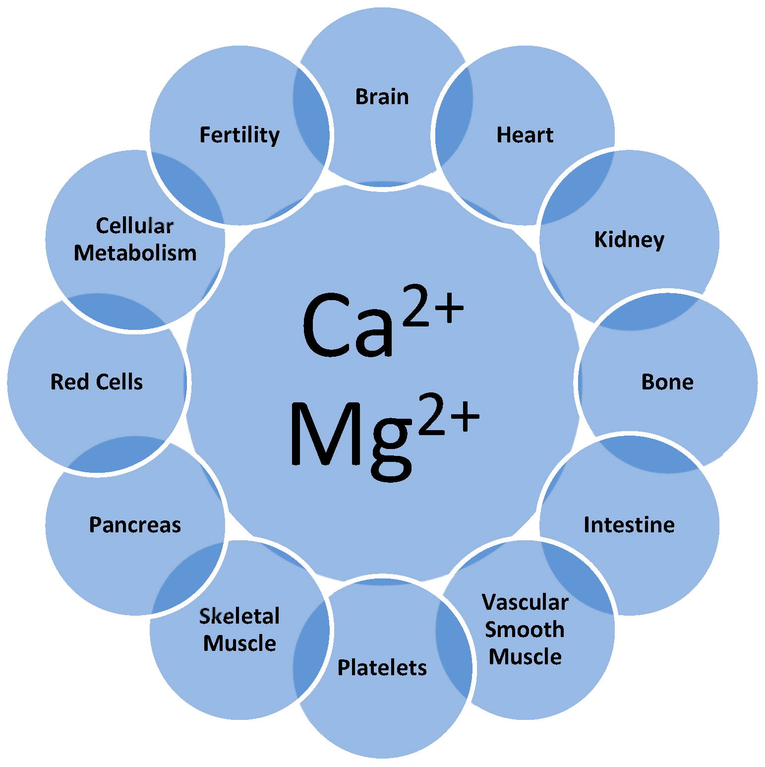 Nutrients 17 03662 g001 Nutrients 17 03662 g001