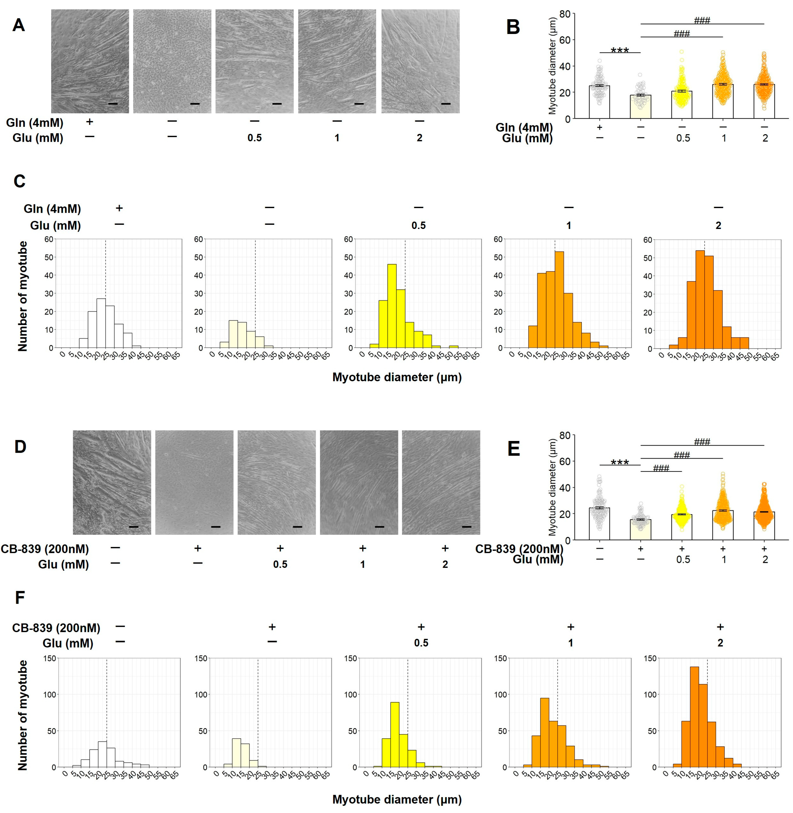 Nutrients 17 03673 g004