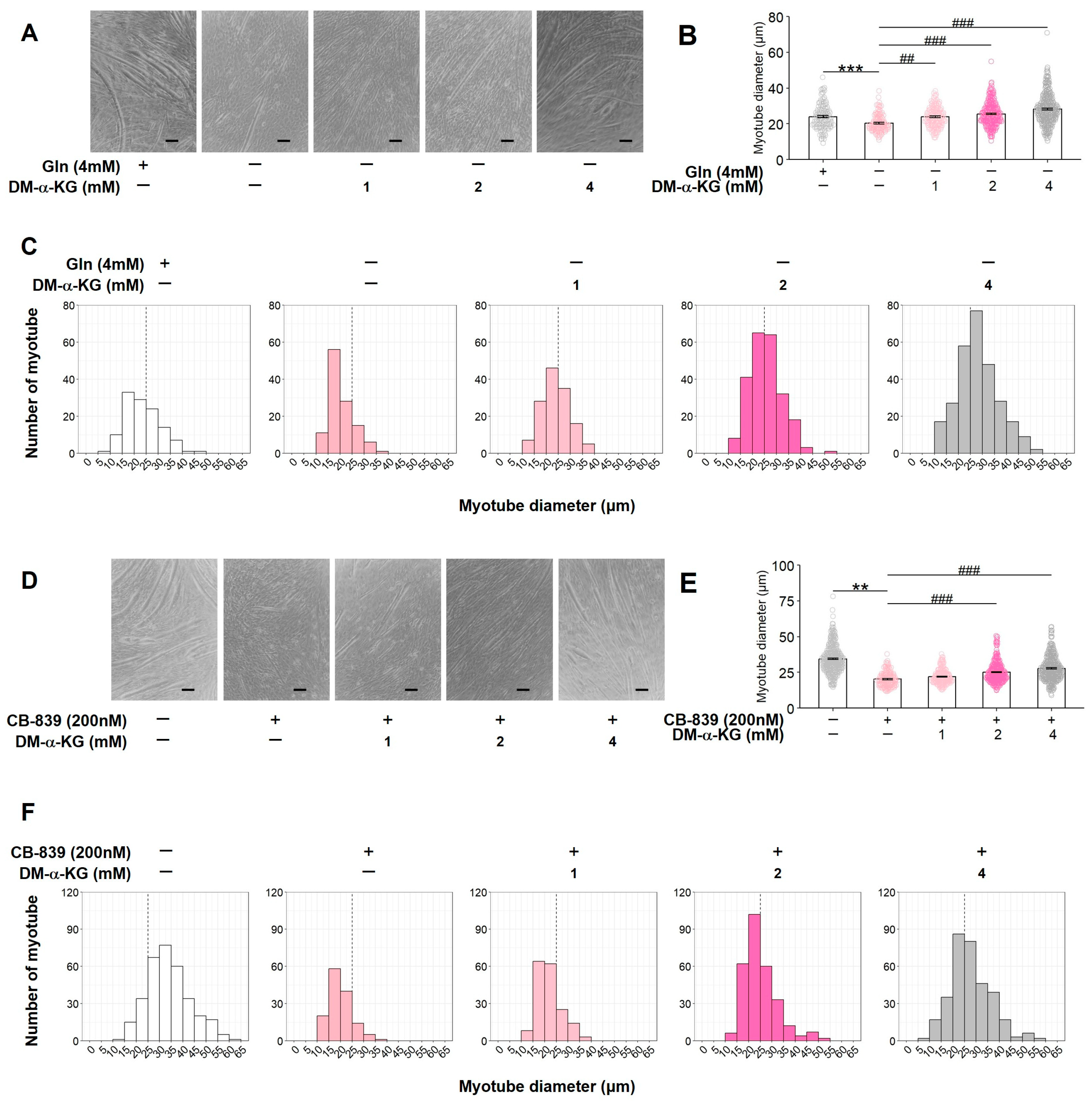 Nutrients 17 03673 g005