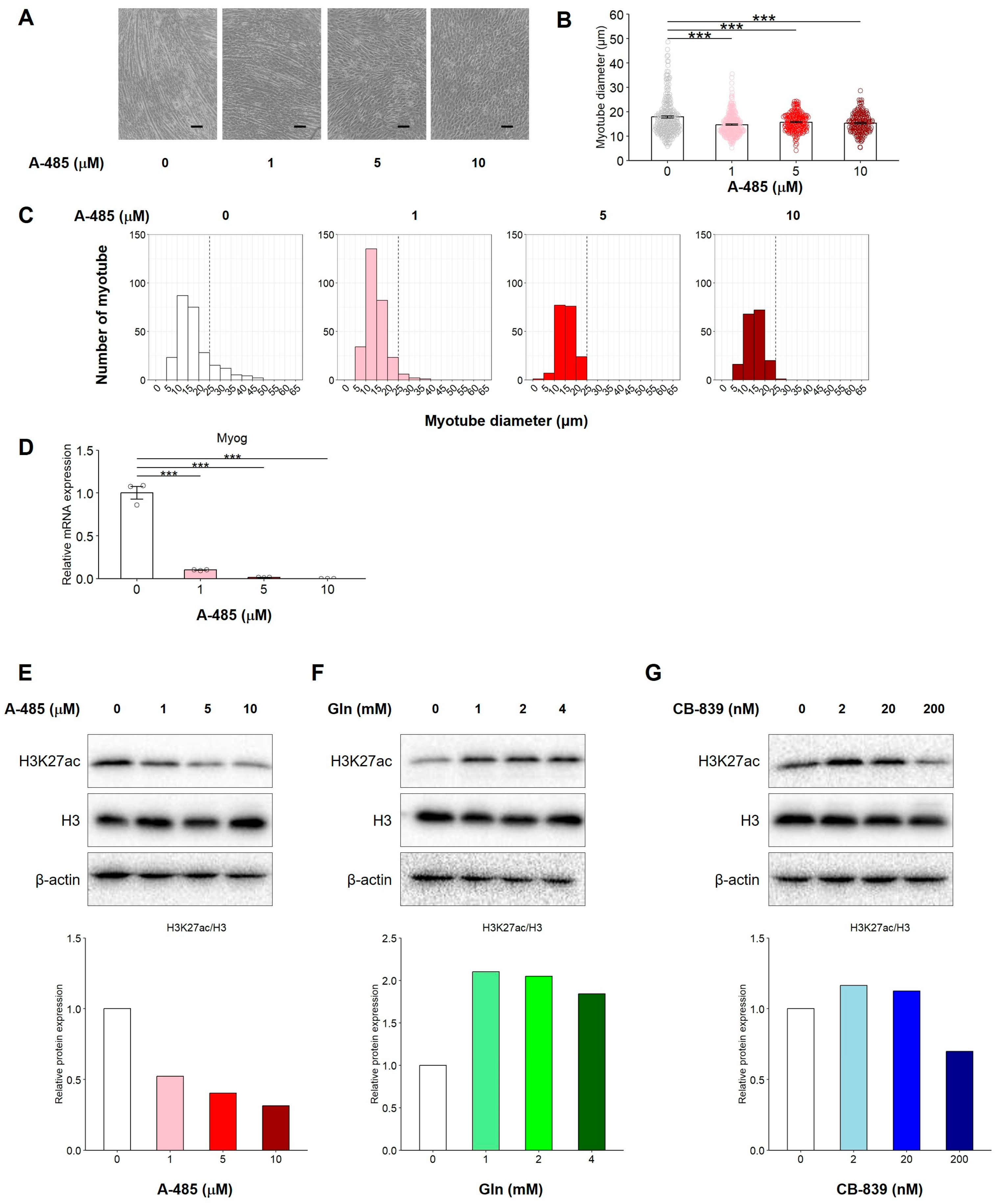 Nutrients 17 03673 g007