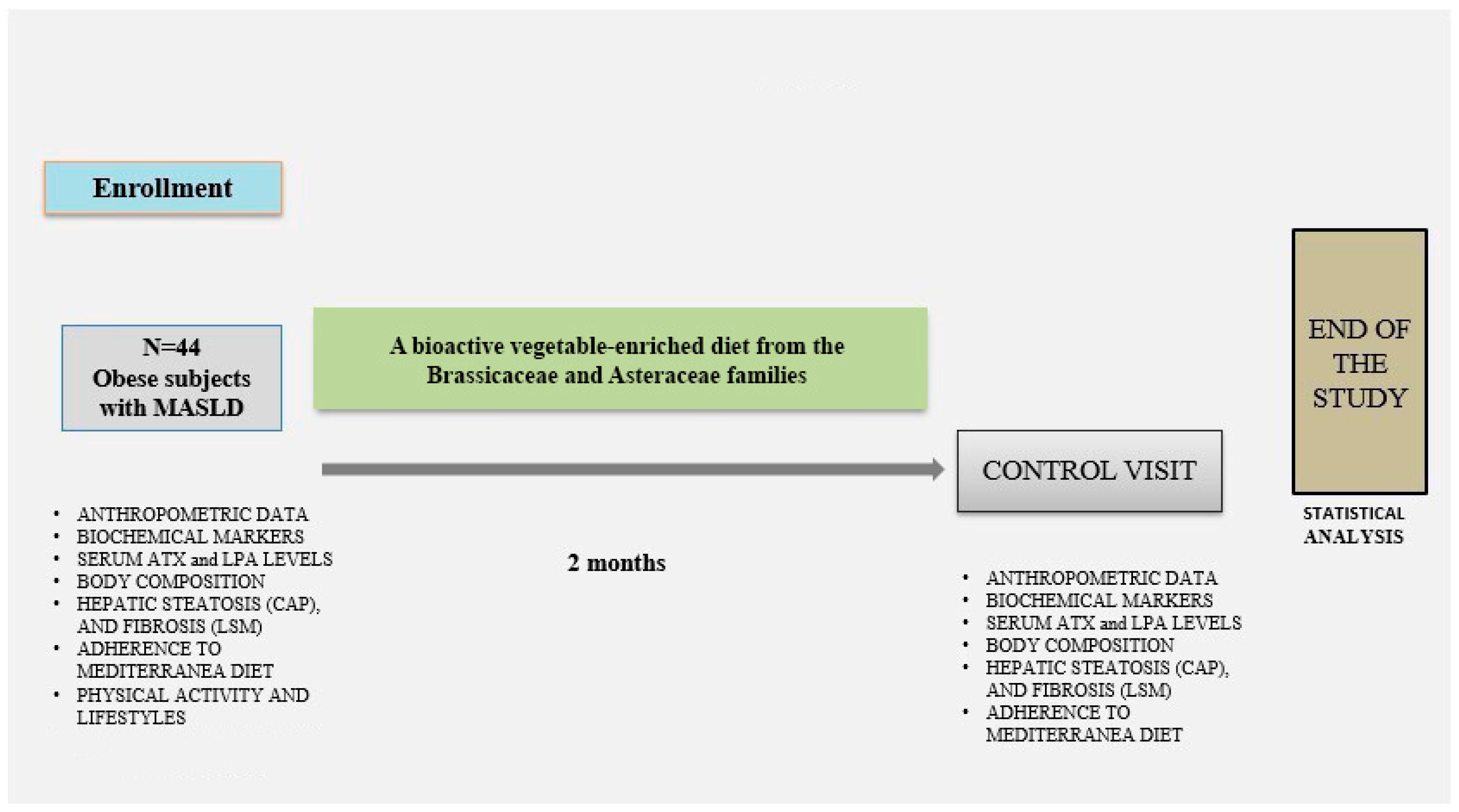 Nutrients 17 03676 g001