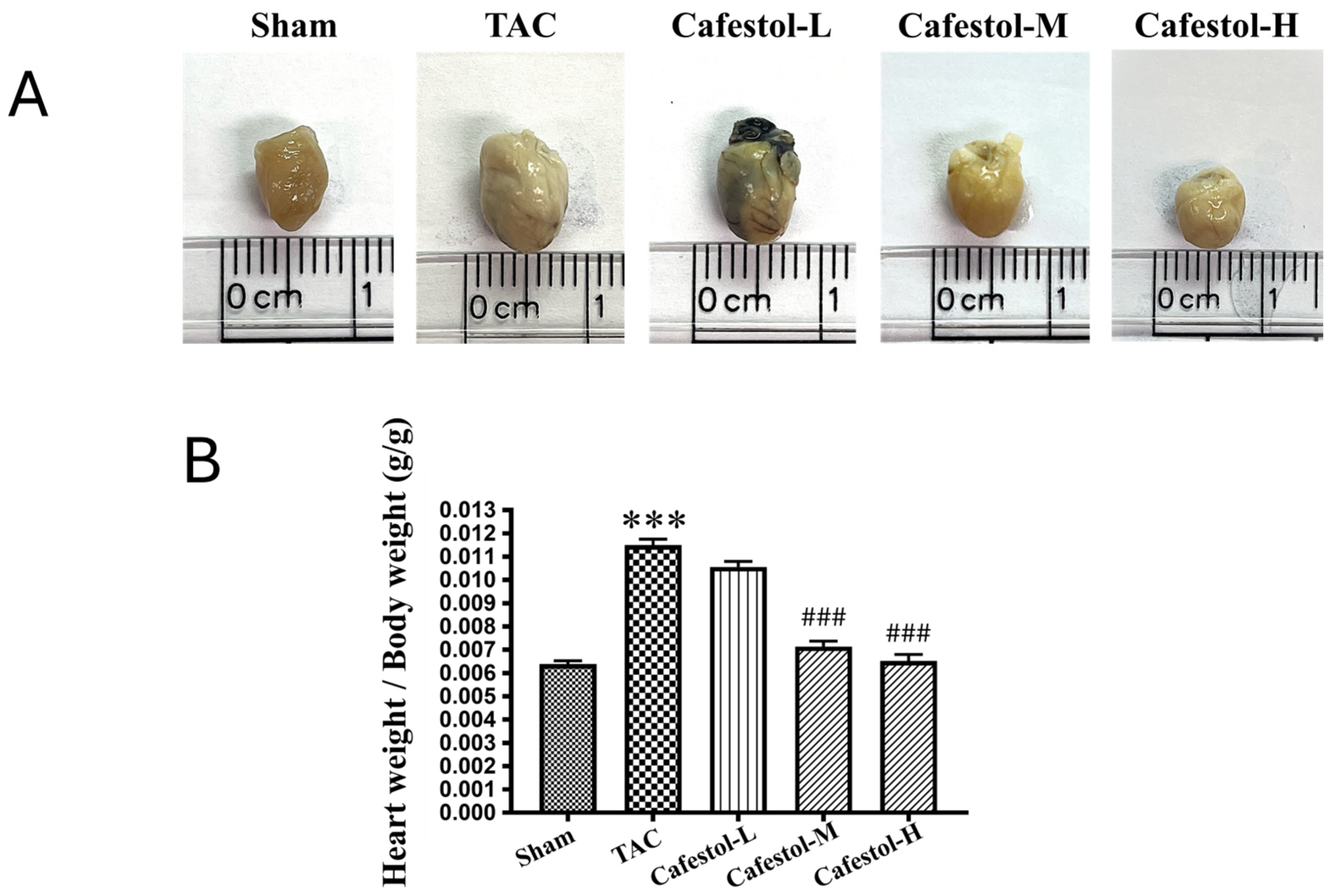 Nutrients 17 03680 g001