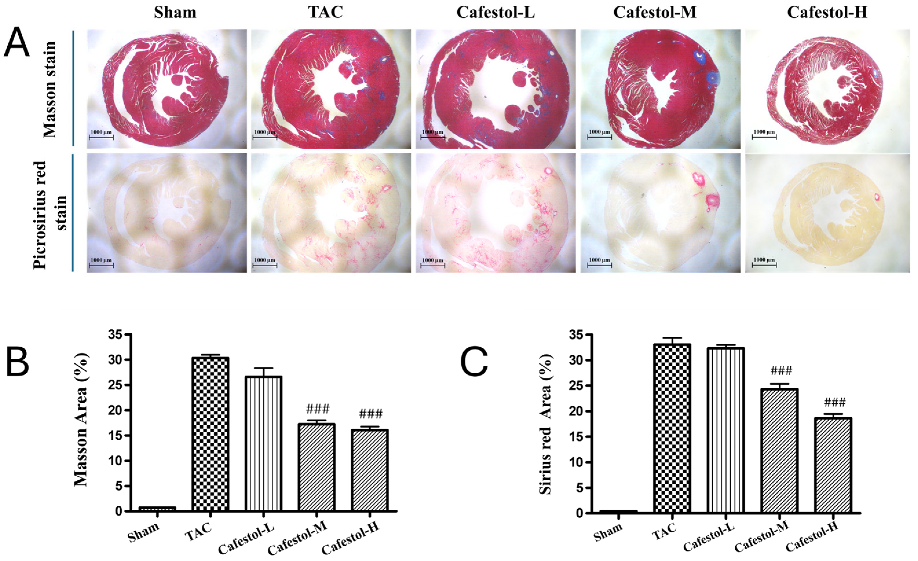 Nutrients 17 03680 g003