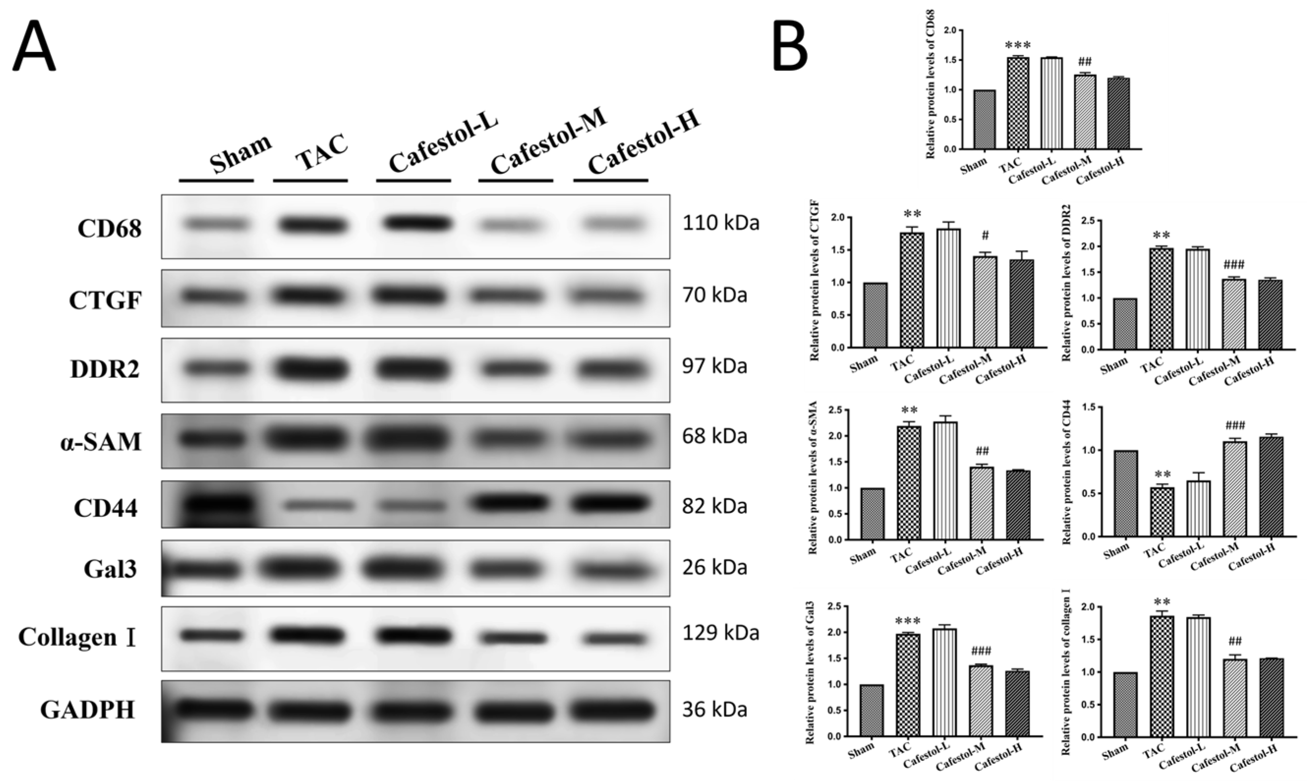 Nutrients 17 03680 g004