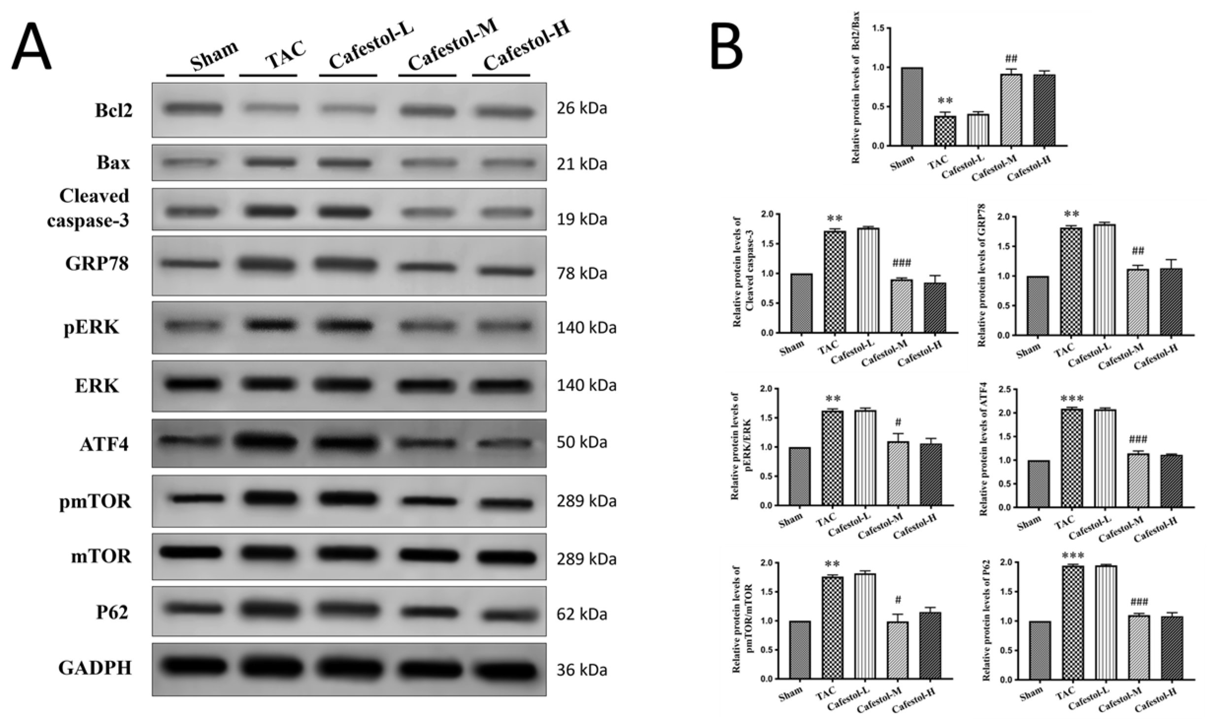 Nutrients 17 03680 g005
