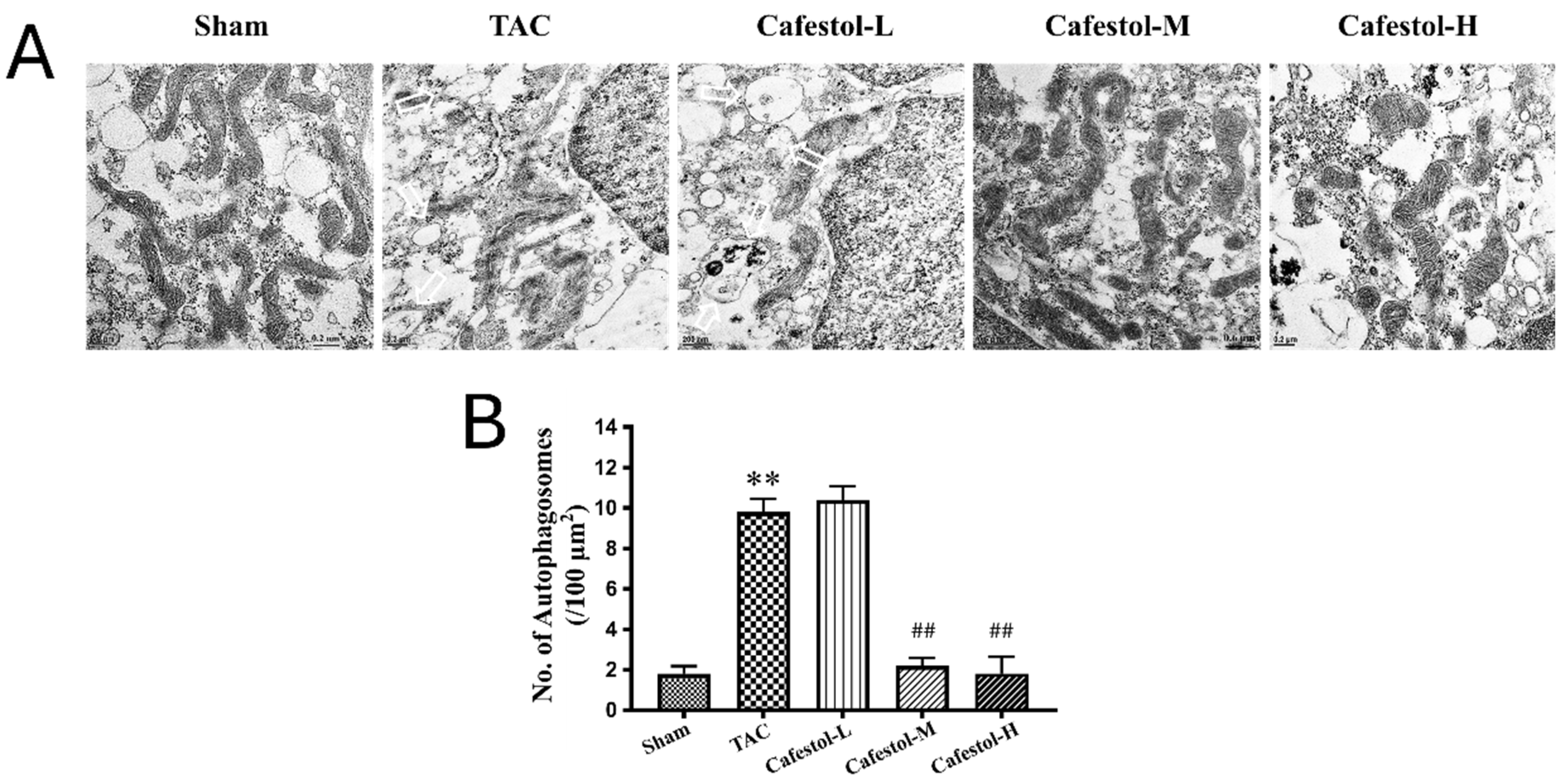 Nutrients 17 03680 g006