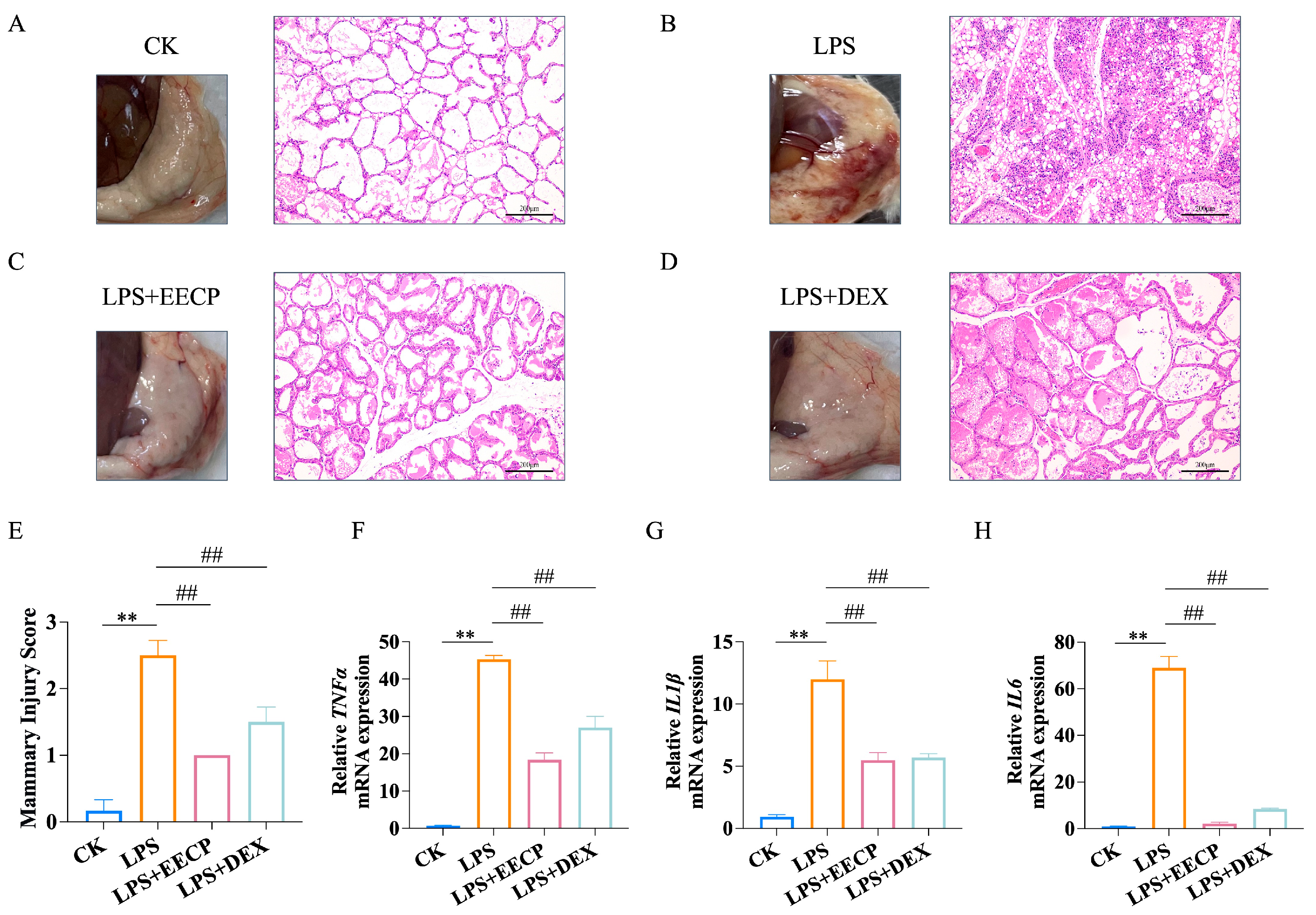 Nutrients 17 03683 g002 Nutrients 17 03683 g002