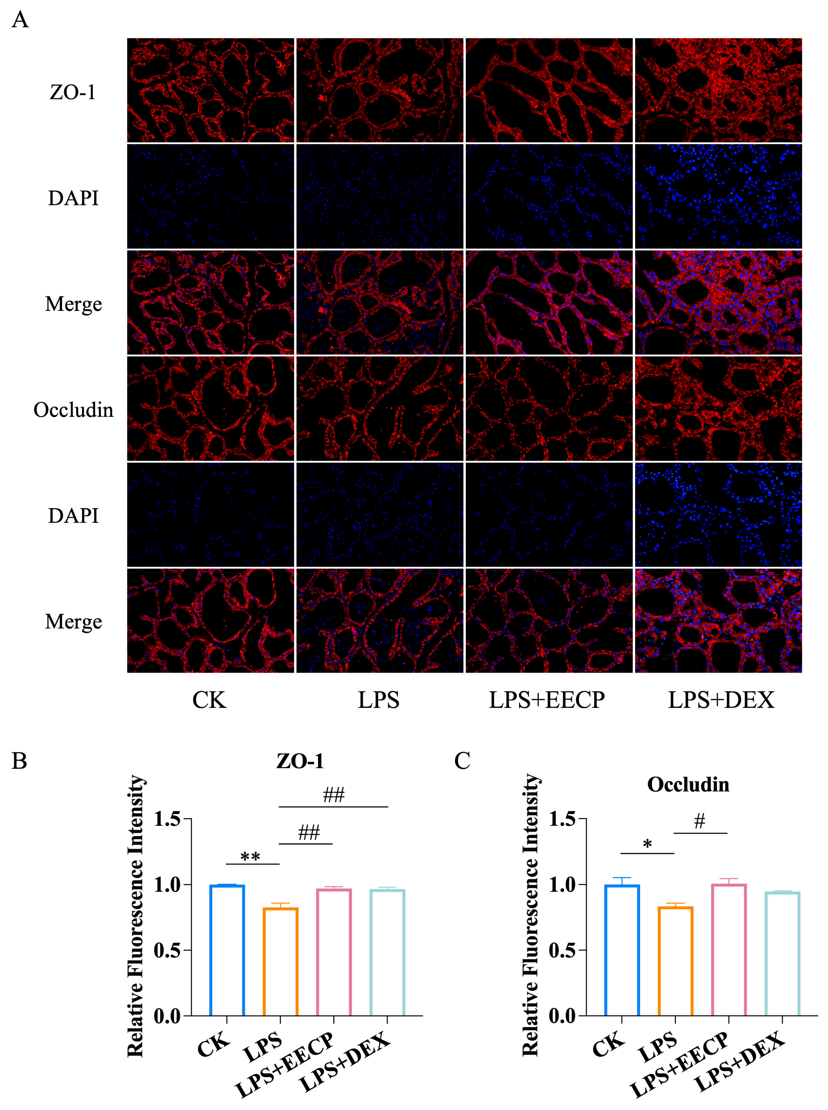 Nutrients 17 03683 g003 Nutrients 17 03683 g003