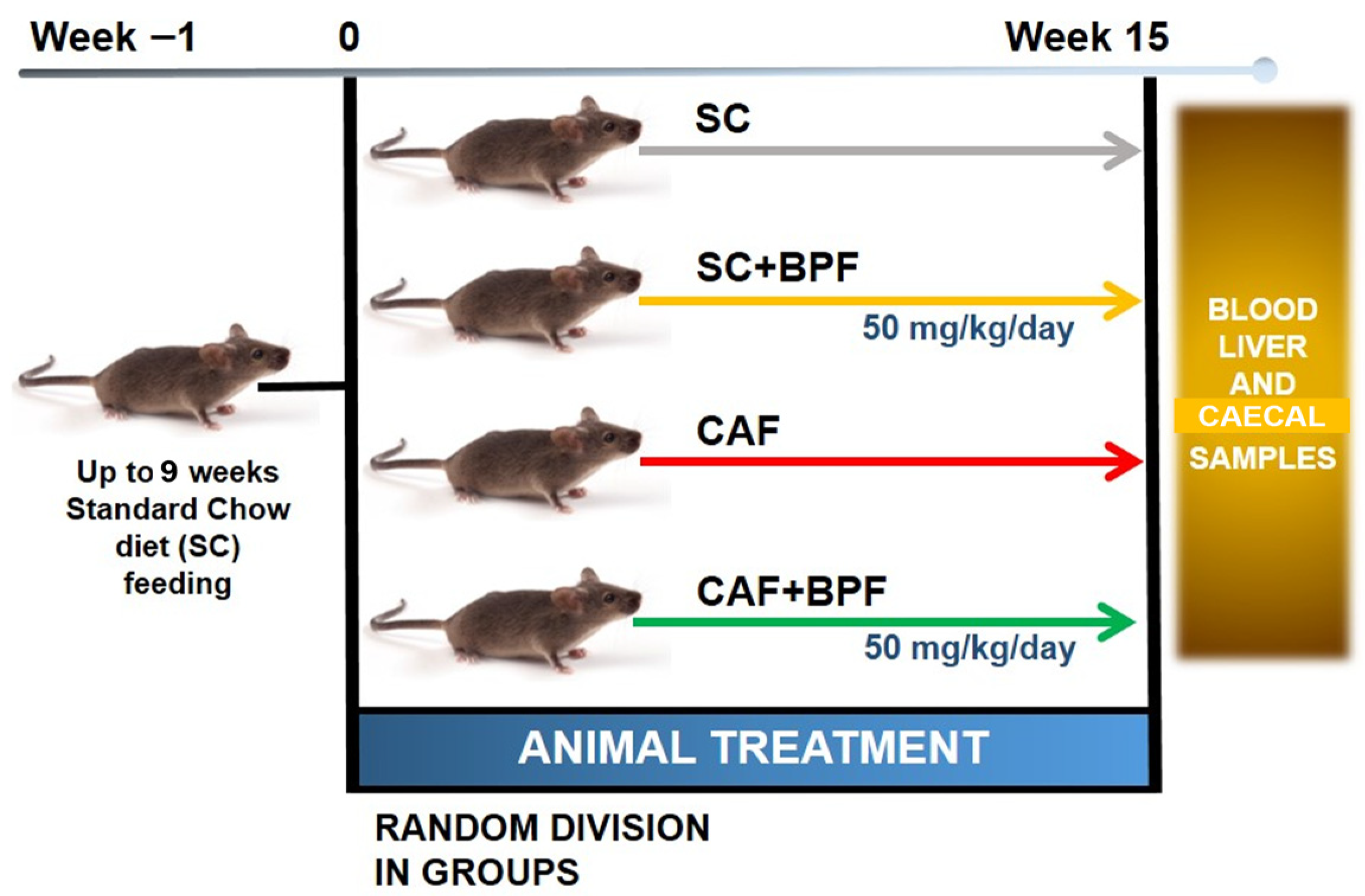 Nutrients 17 03684 g001