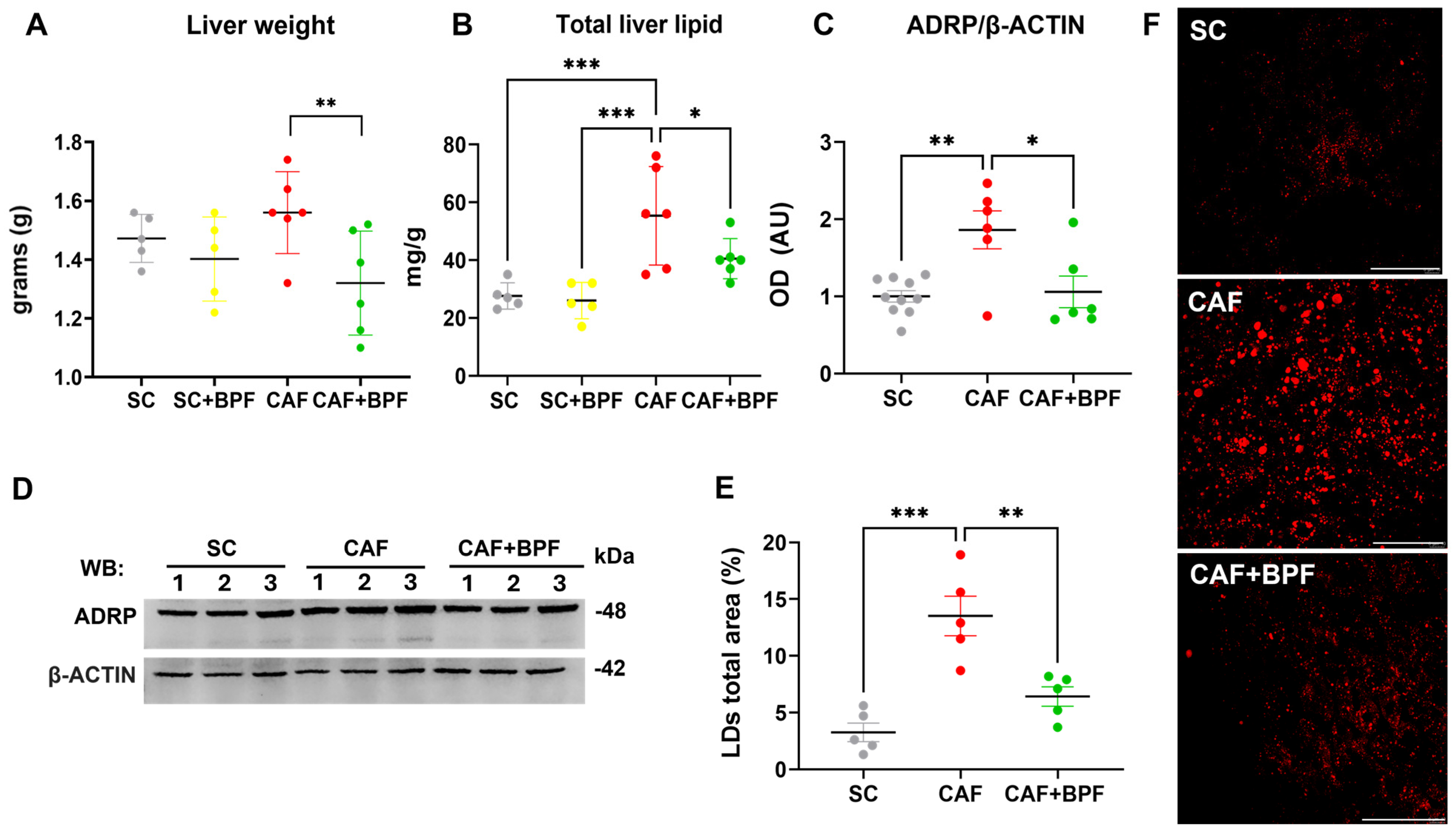 Nutrients 17 03684 g004