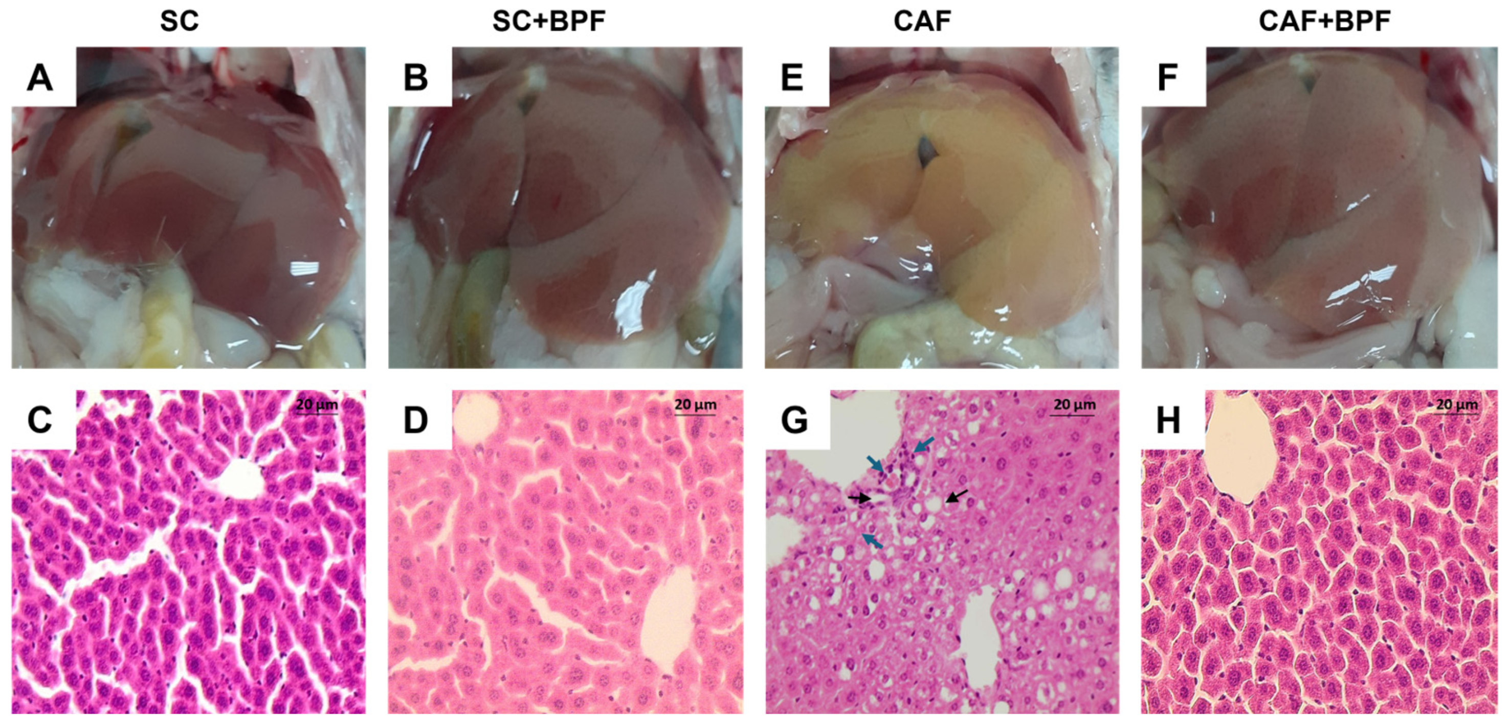 Nutrients 17 03684 g005