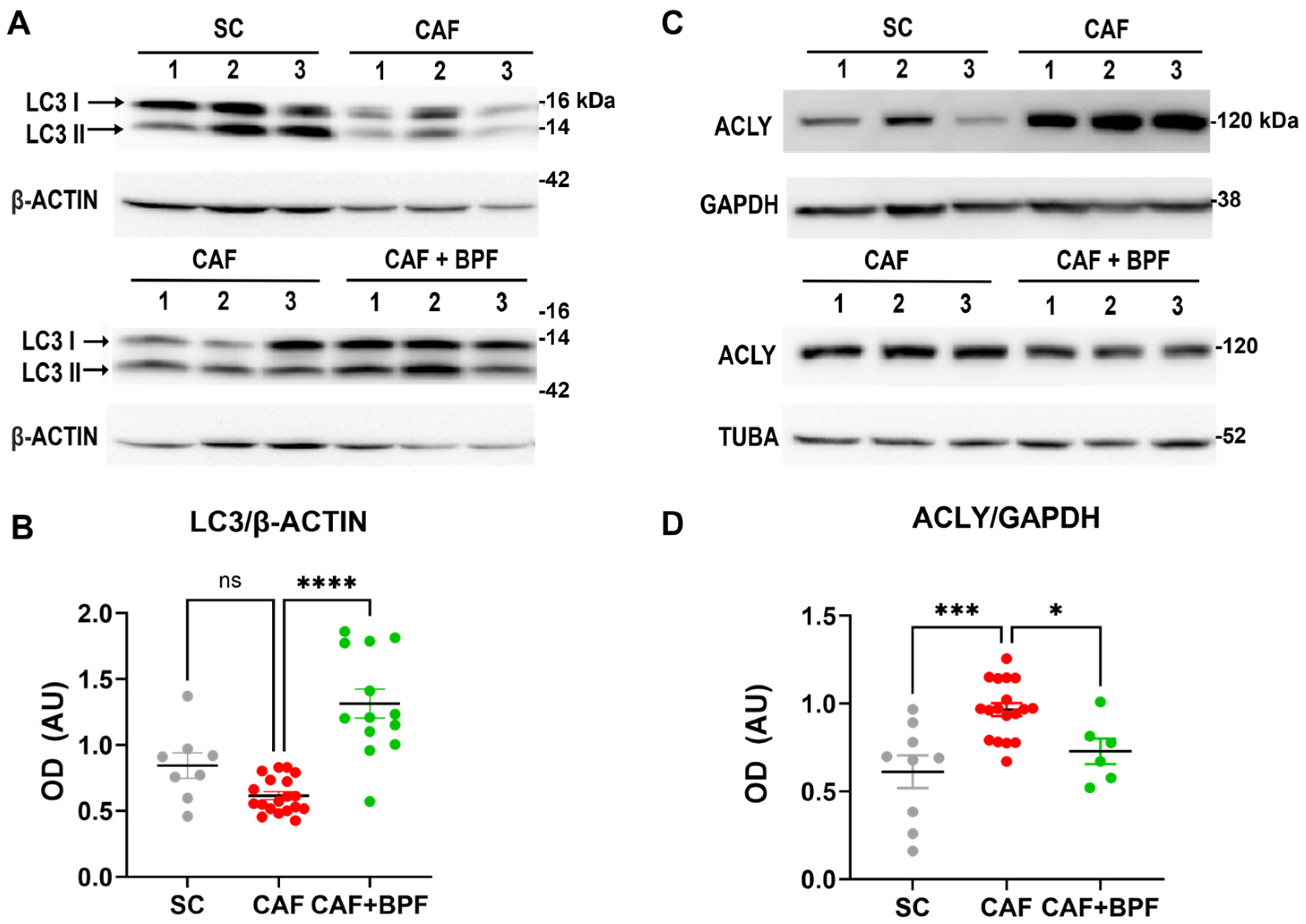 Nutrients 17 03684 g008