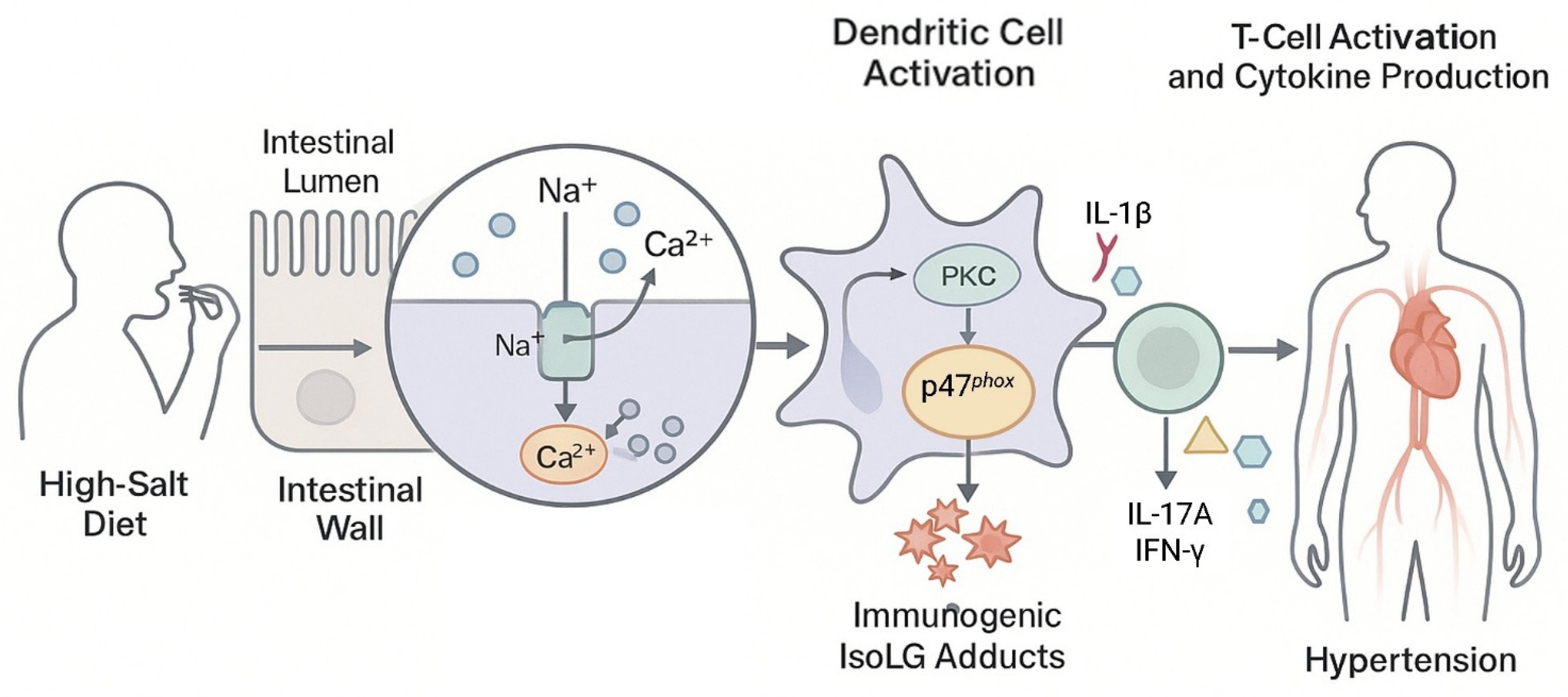 Nutrients 17 03688 g003