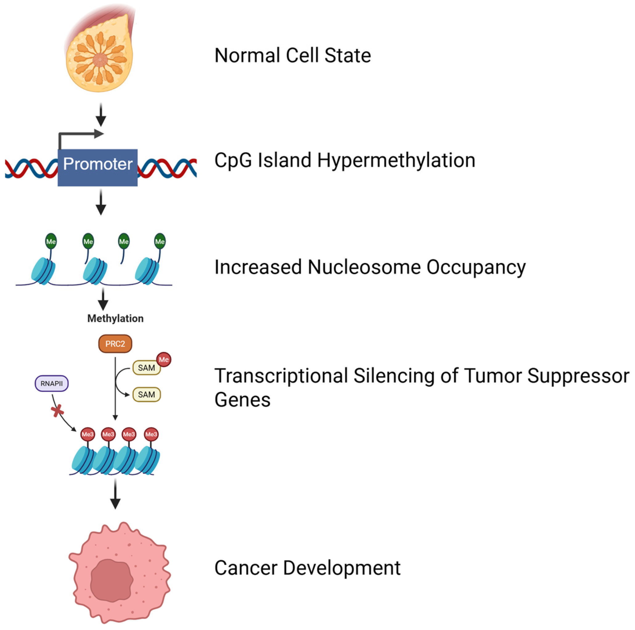 Nutrients 17 03690 g001