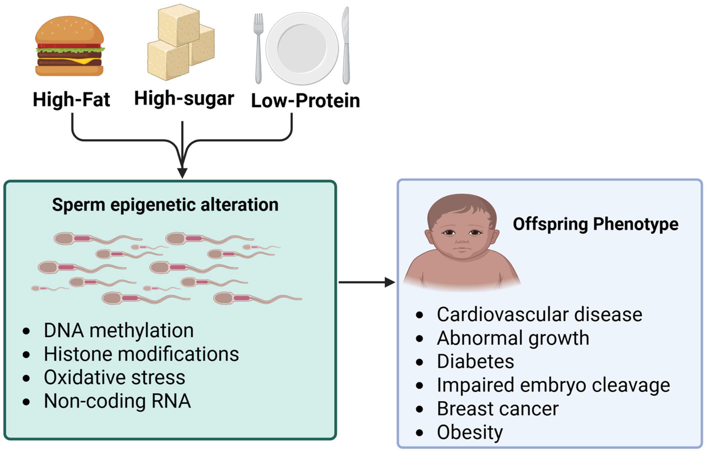 Nutrients 17 03690 g003