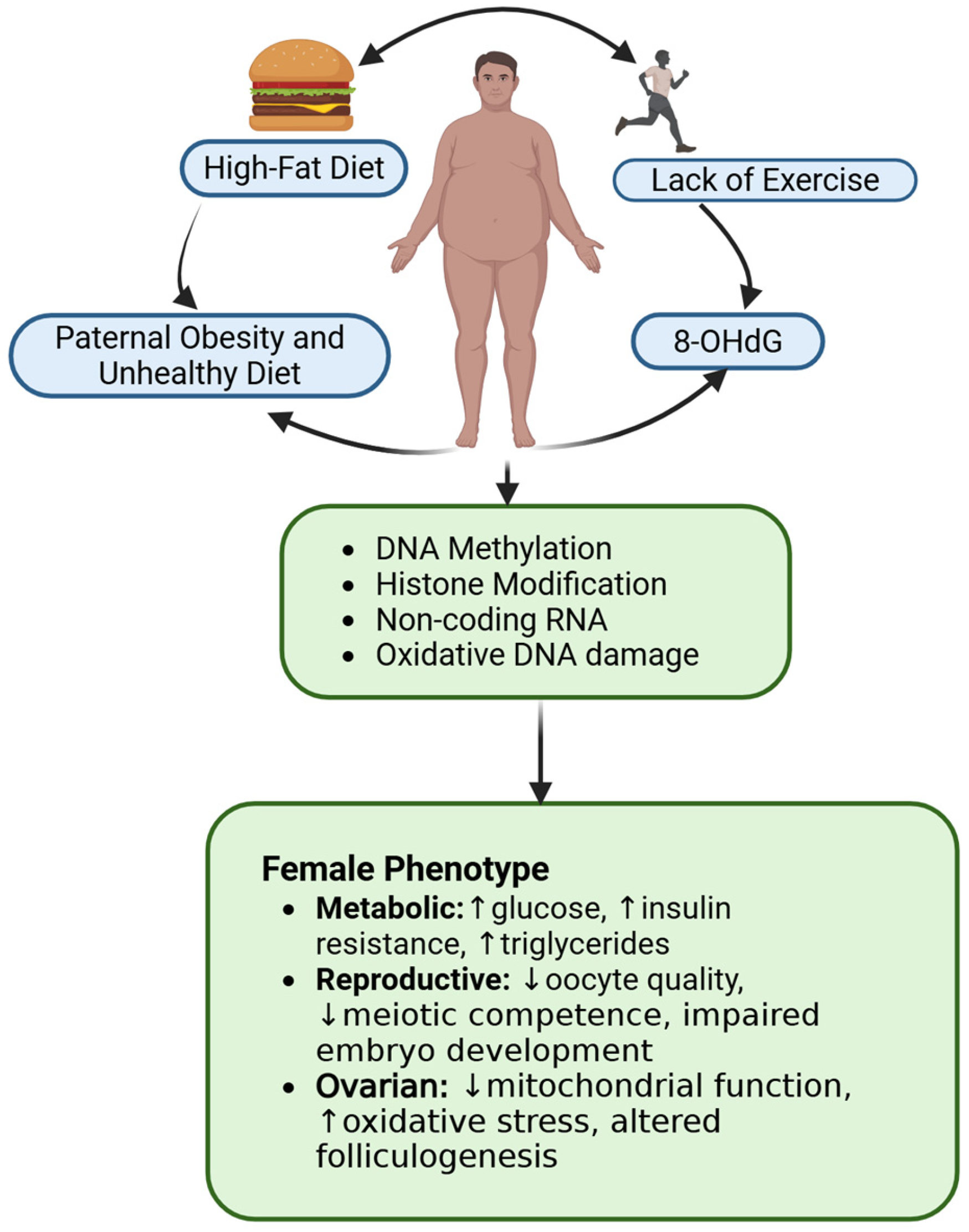 Nutrients 17 03690 g004