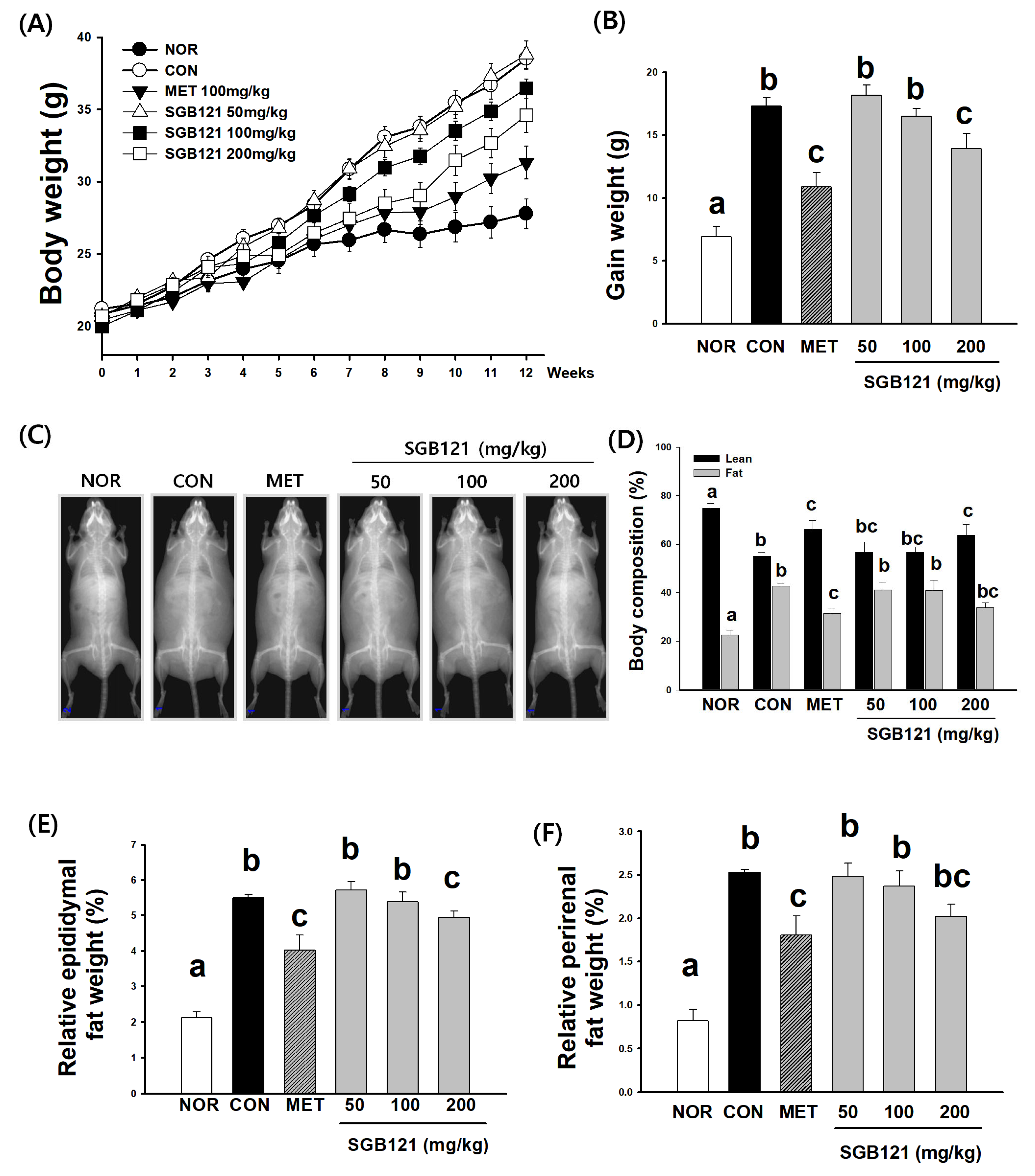 Nutrients 17 03693 g001 Nutrients 17 03693 g001