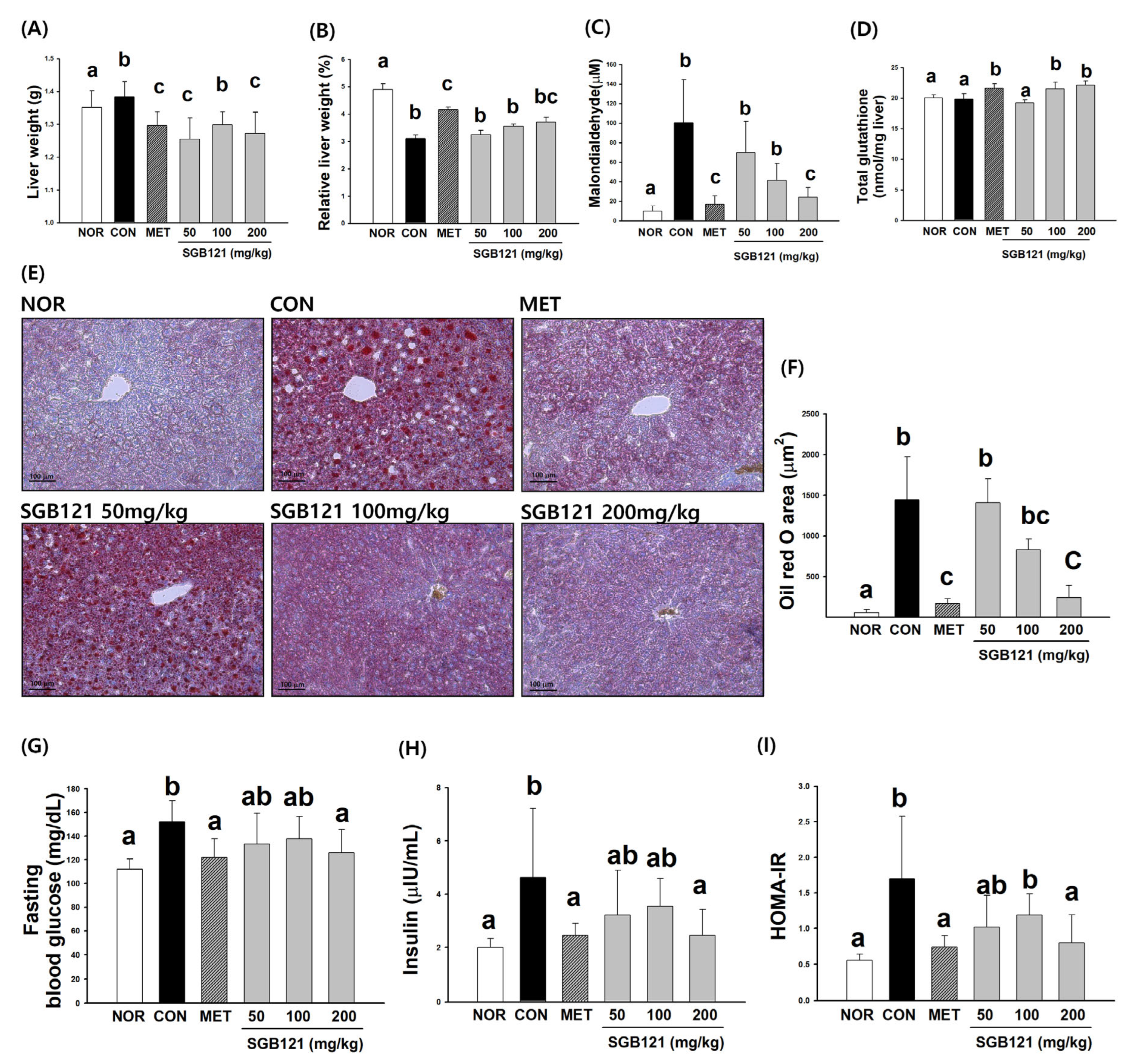 Nutrients 17 03693 g002 Nutrients 17 03693 g002