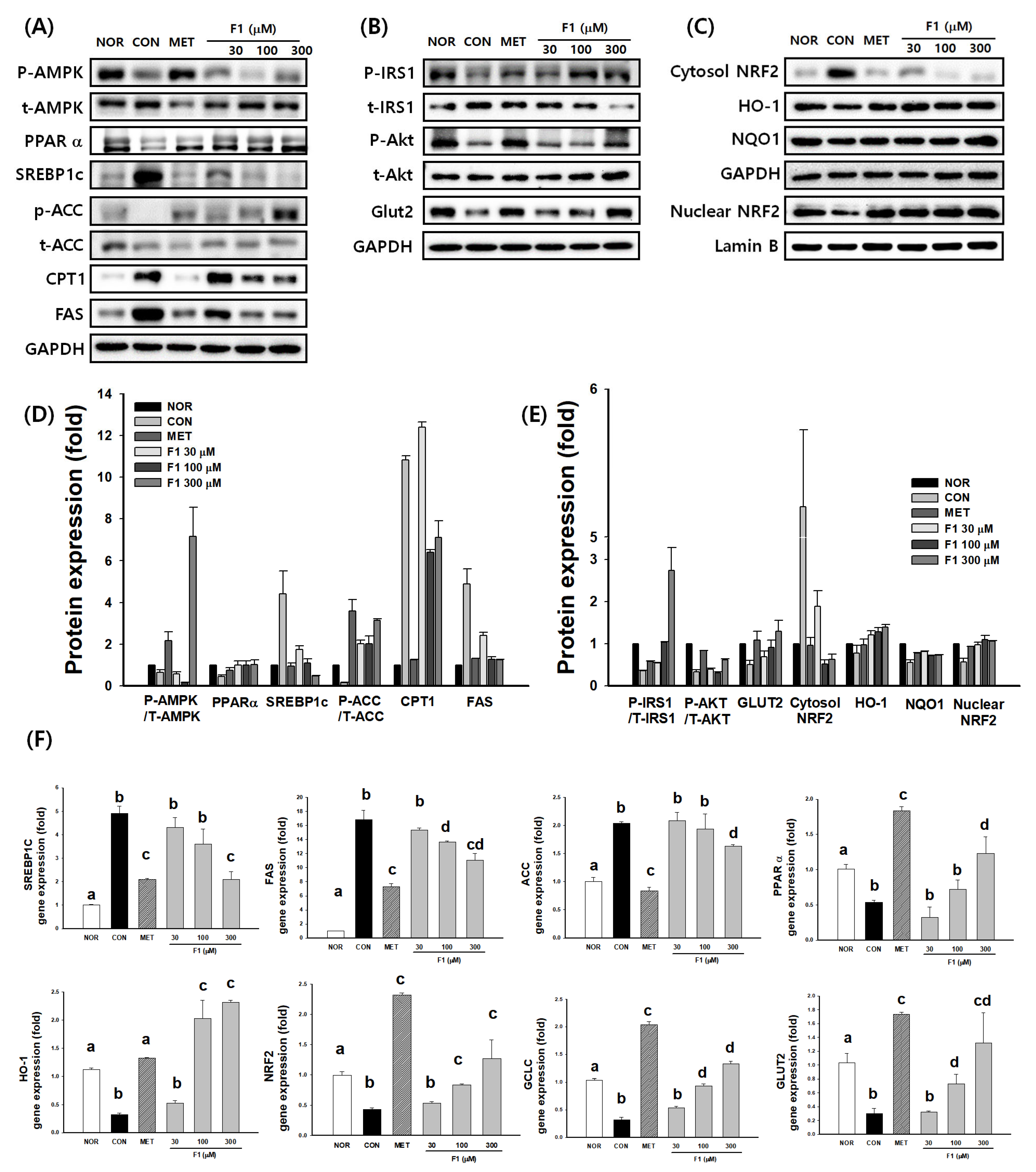 Nutrients 17 03693 g004 Nutrients 17 03693 g004