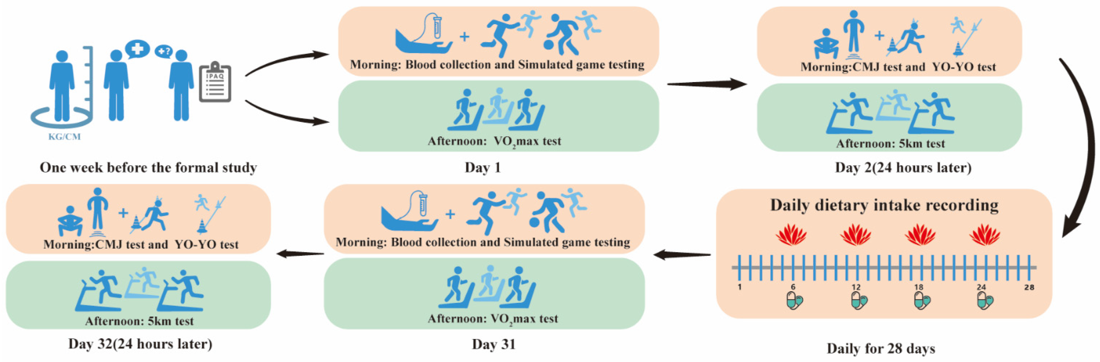 Nutrients 17 03694 g001 Nutrients 17 03694 g001