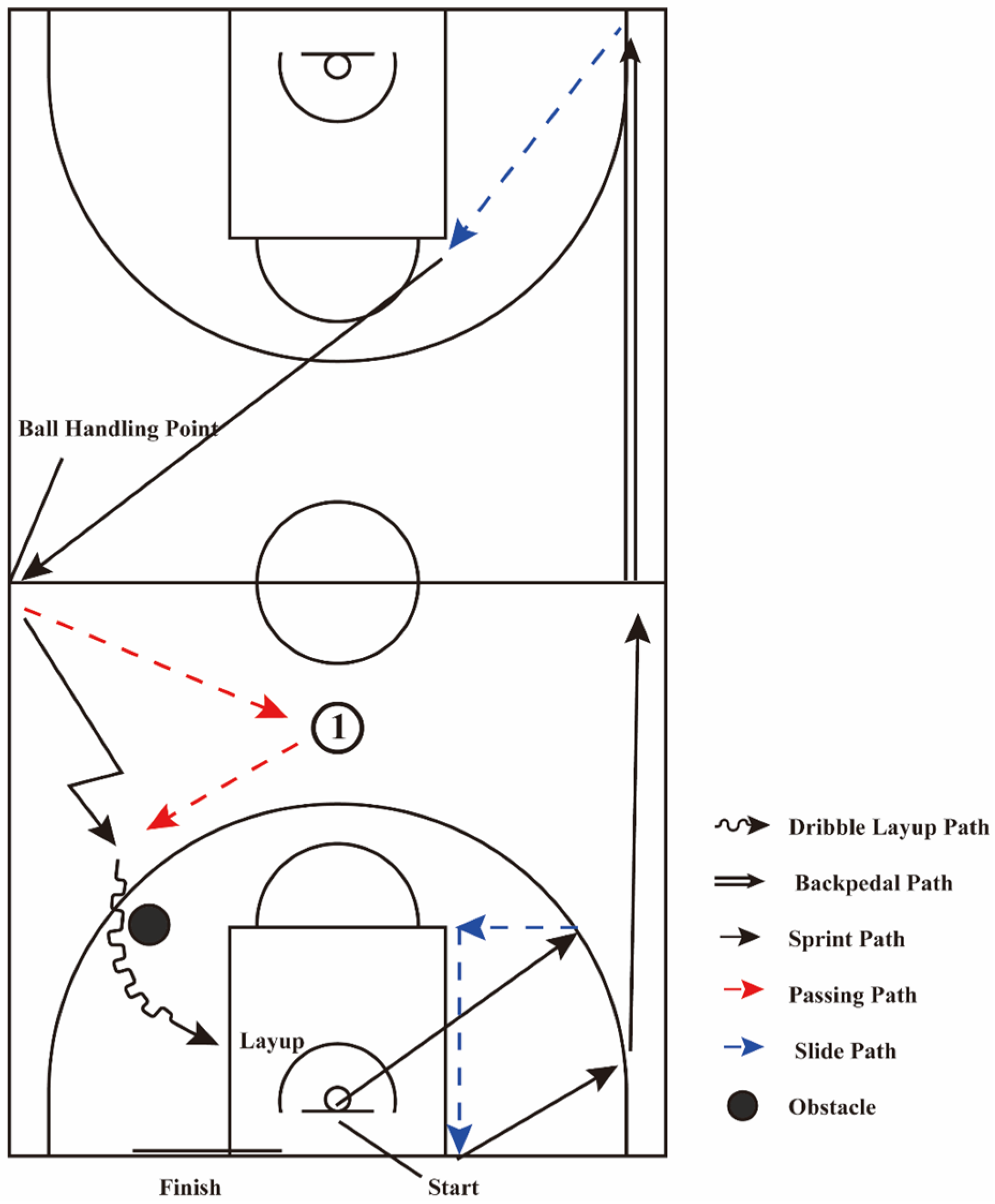 Nutrients 17 03694 g002 Nutrients 17 03694 g002