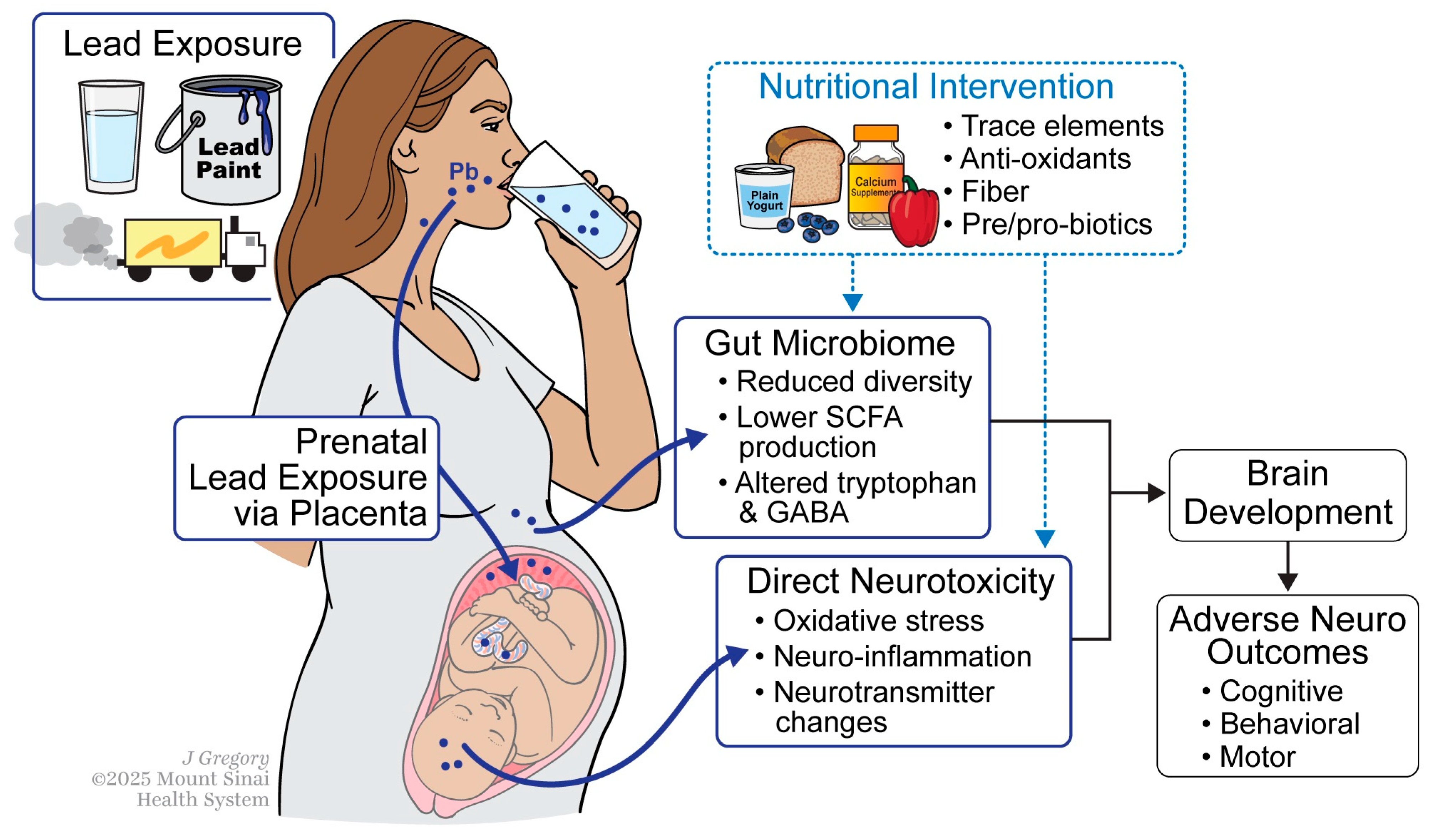 Nutrients 17 03700 g001