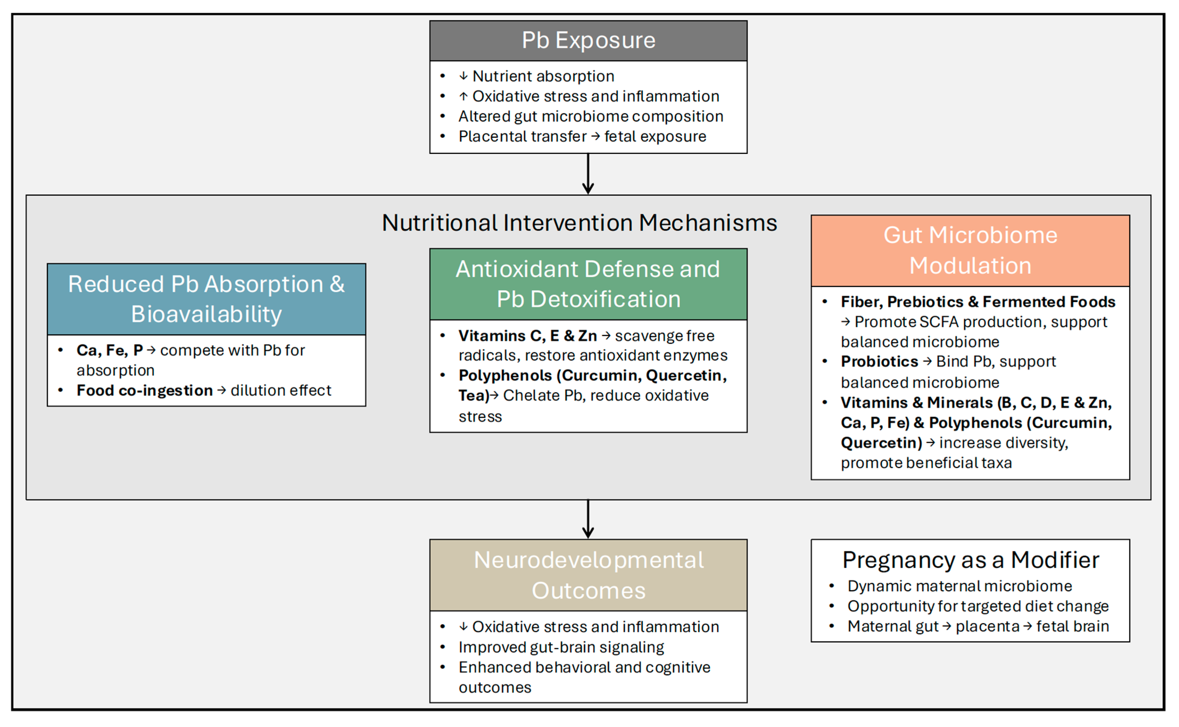 Nutrients 17 03700 g002