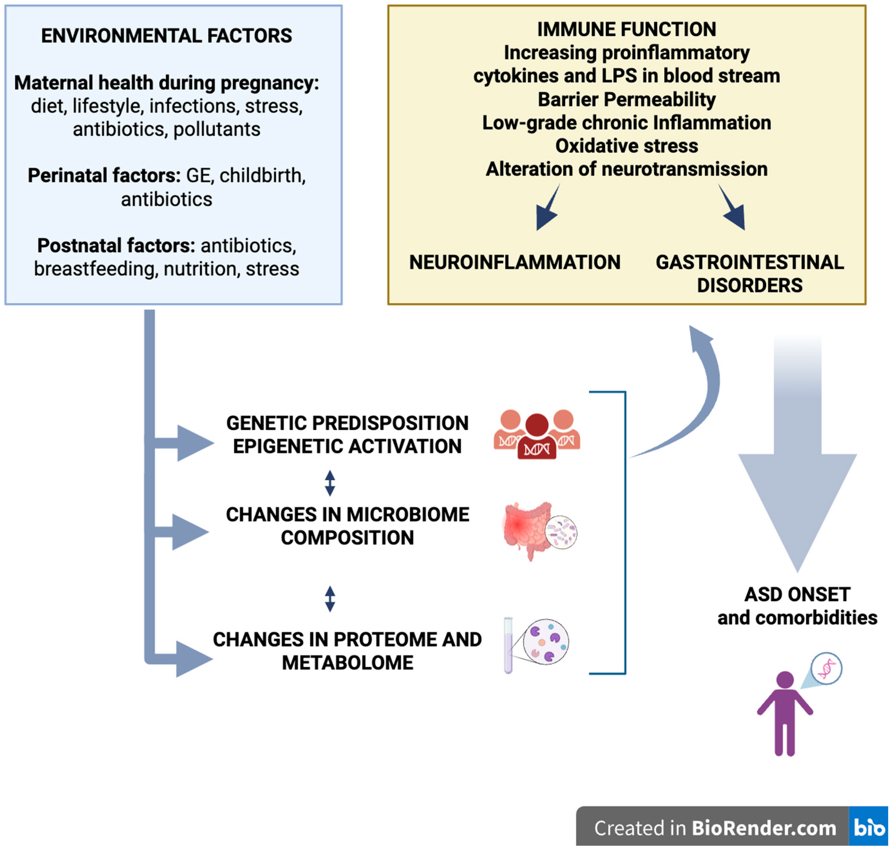 Nutrients 17 03706 g002