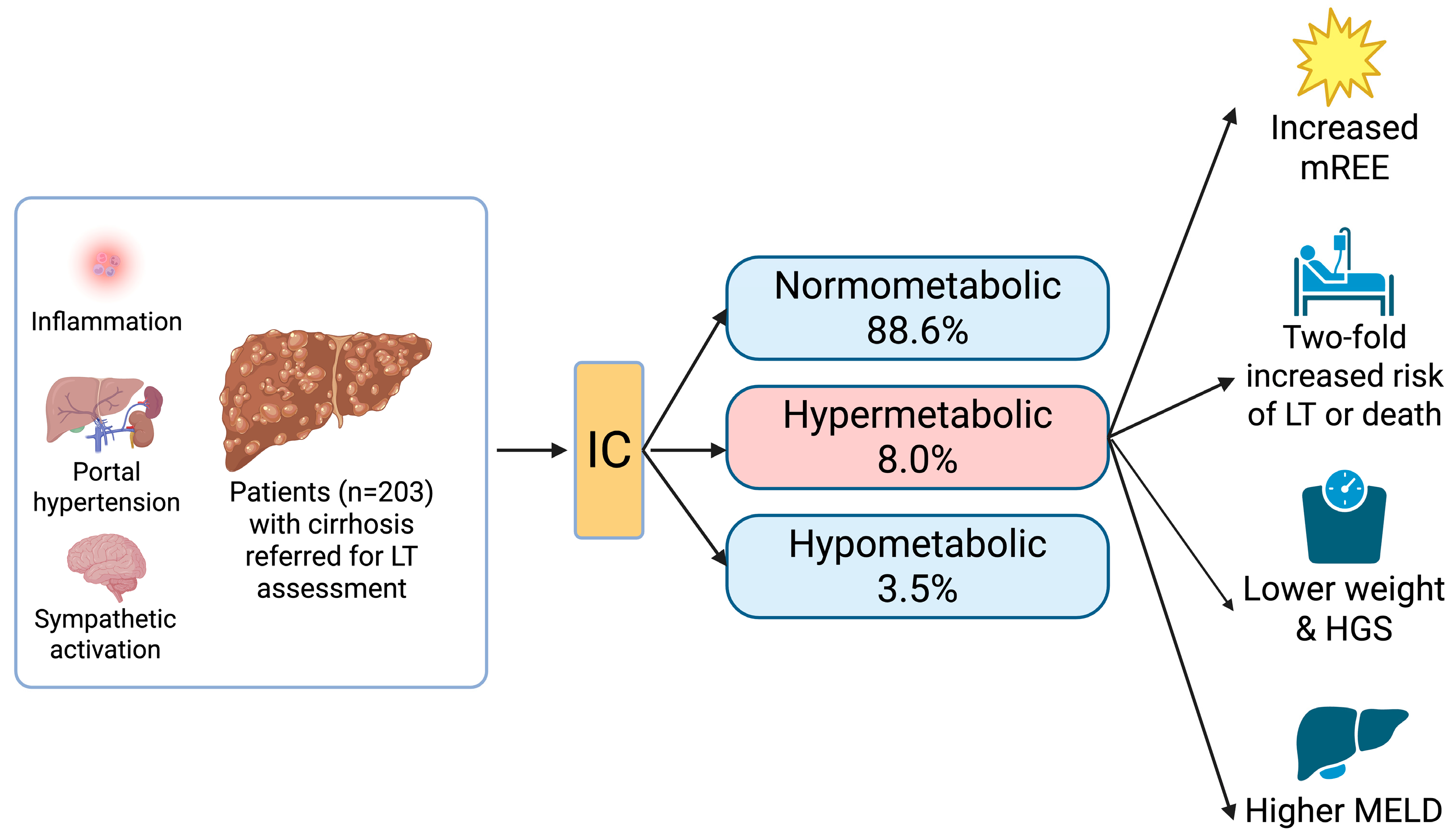 Nutrients 17 03709 g001