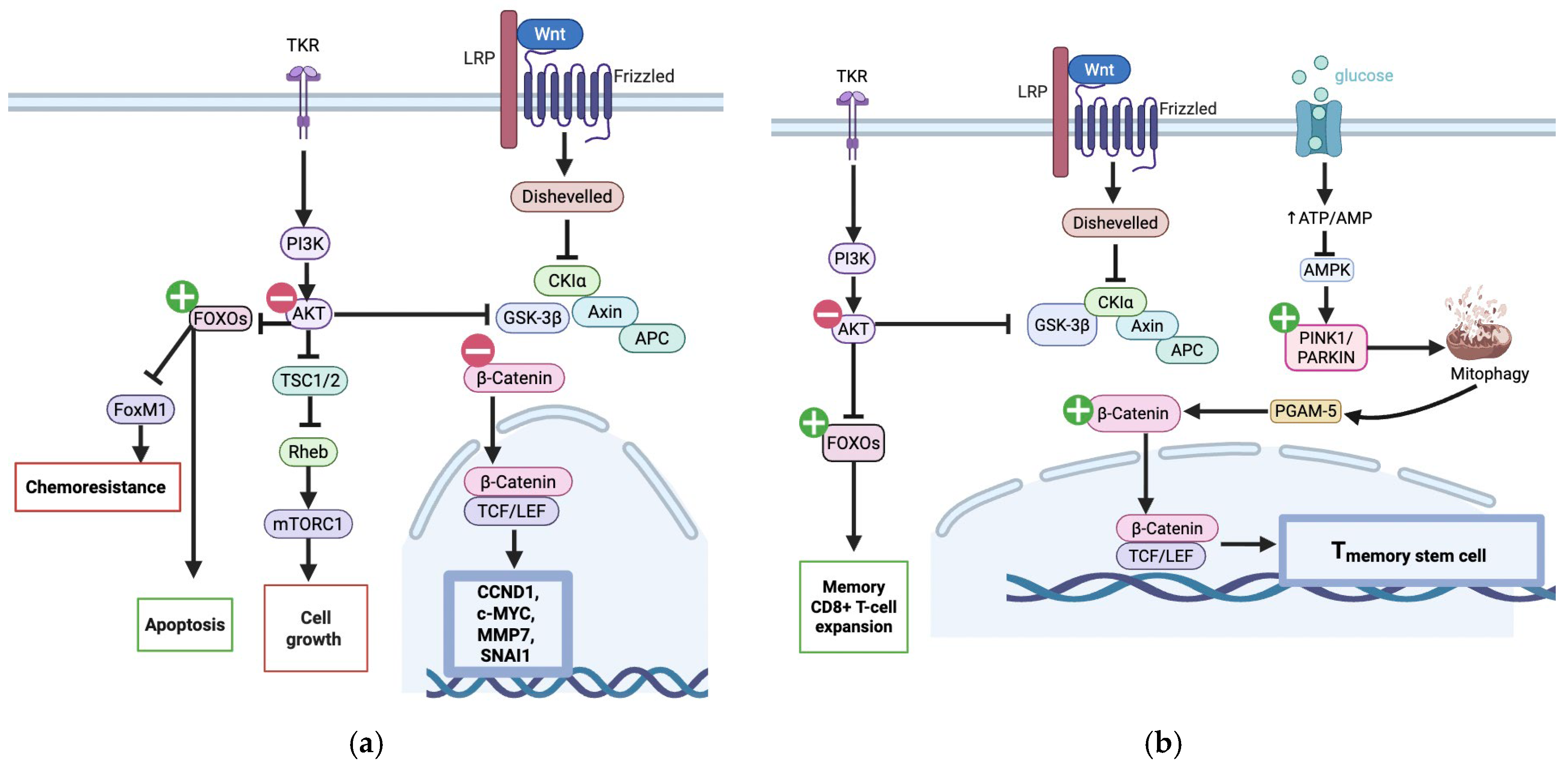 Nutrients 17 03712 g001
