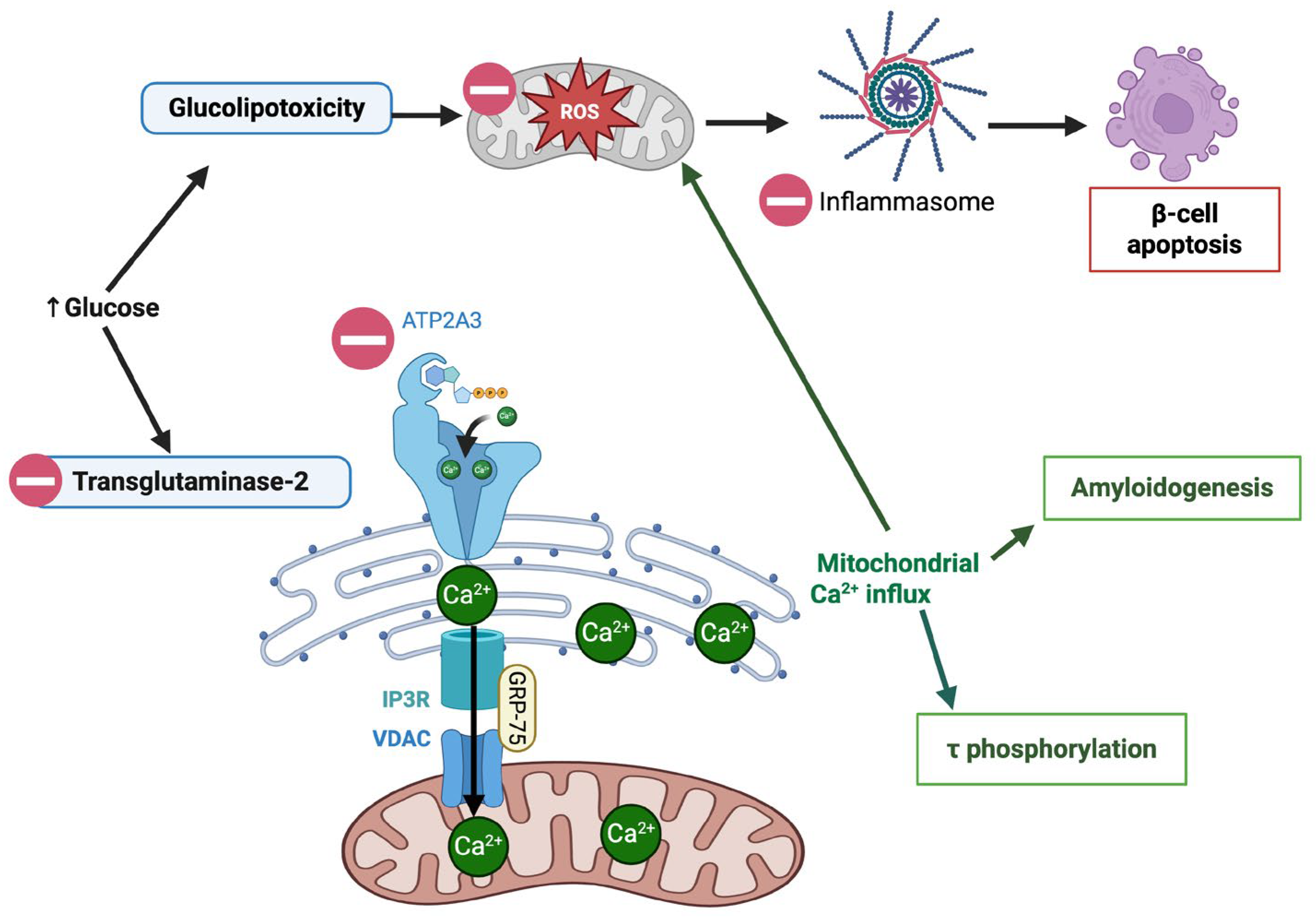 Nutrients 17 03712 g003