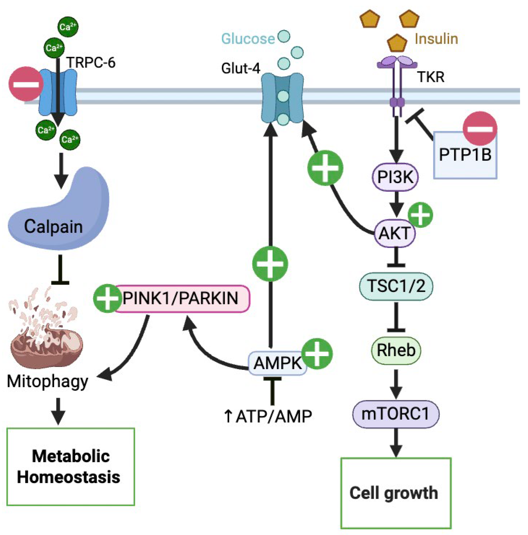 Nutrients 17 03712 g005