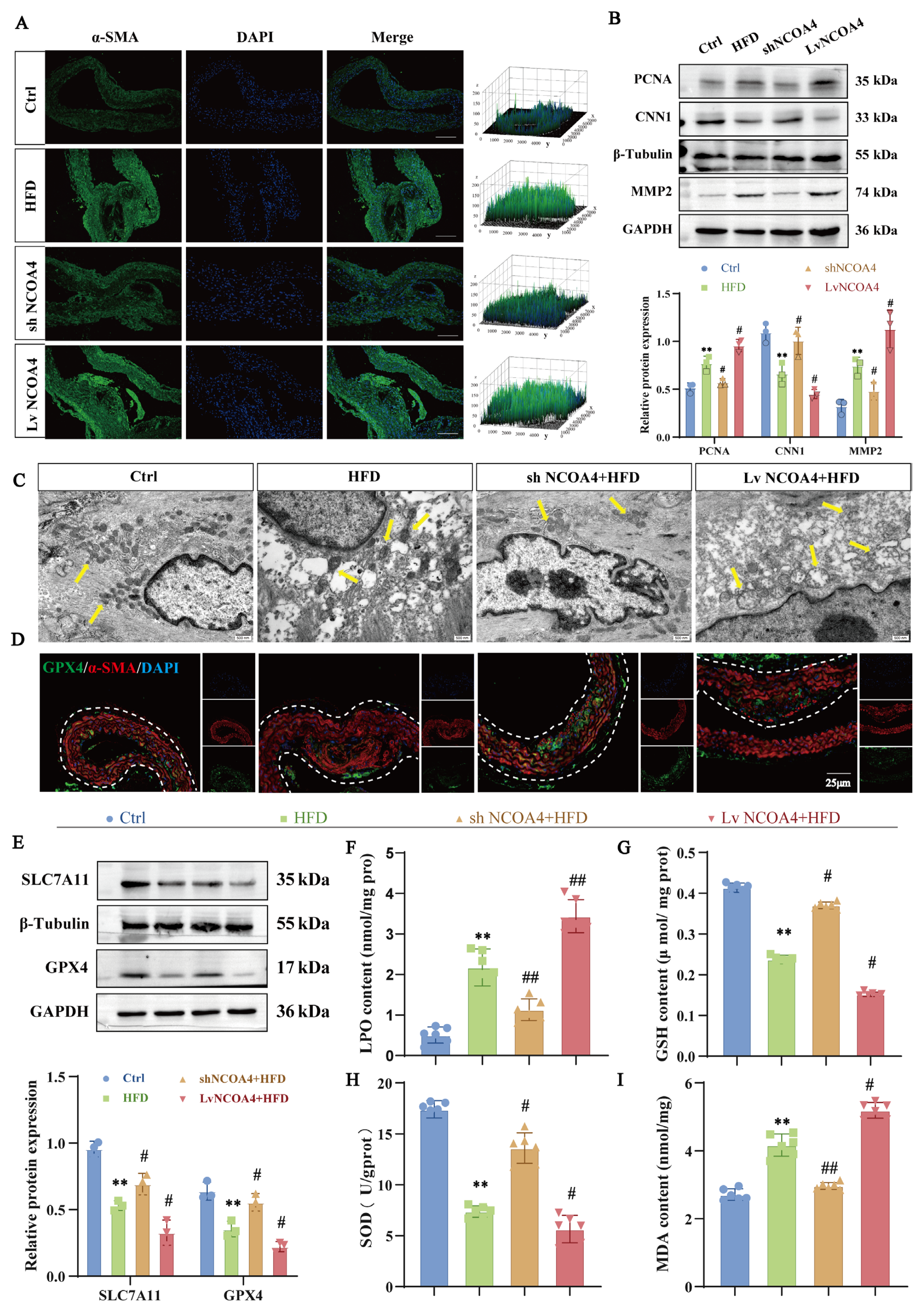 Nutrients 17 03713 g001