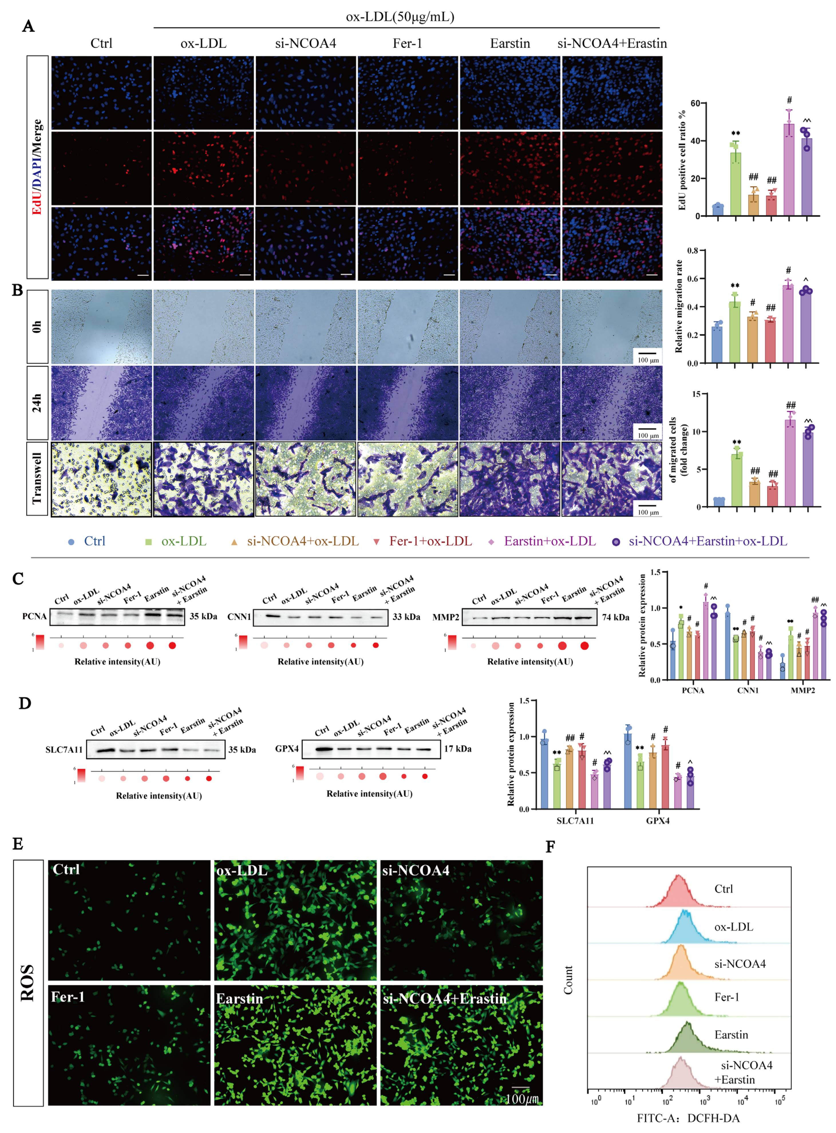 Nutrients 17 03713 g002