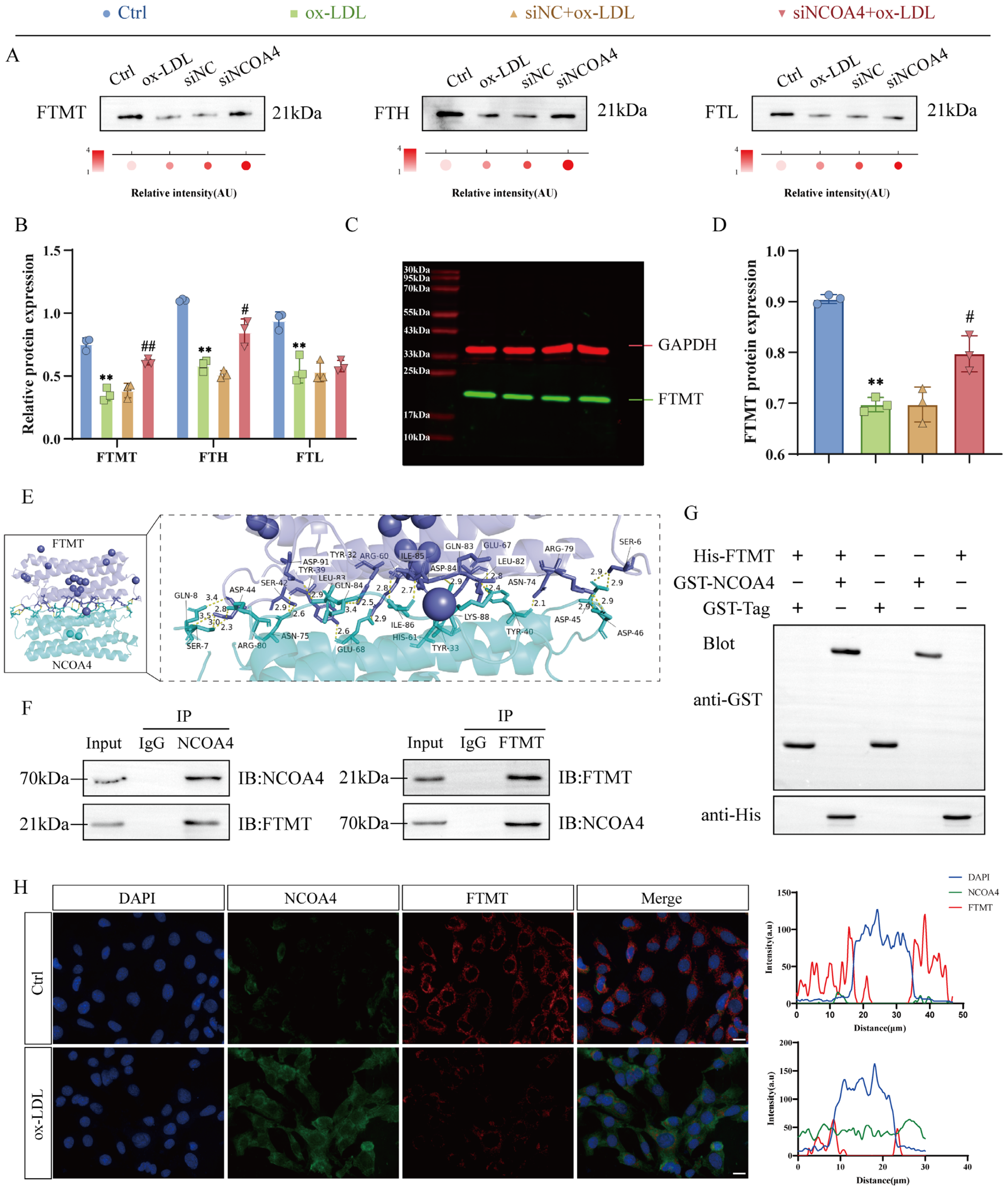 Nutrients 17 03713 g003
