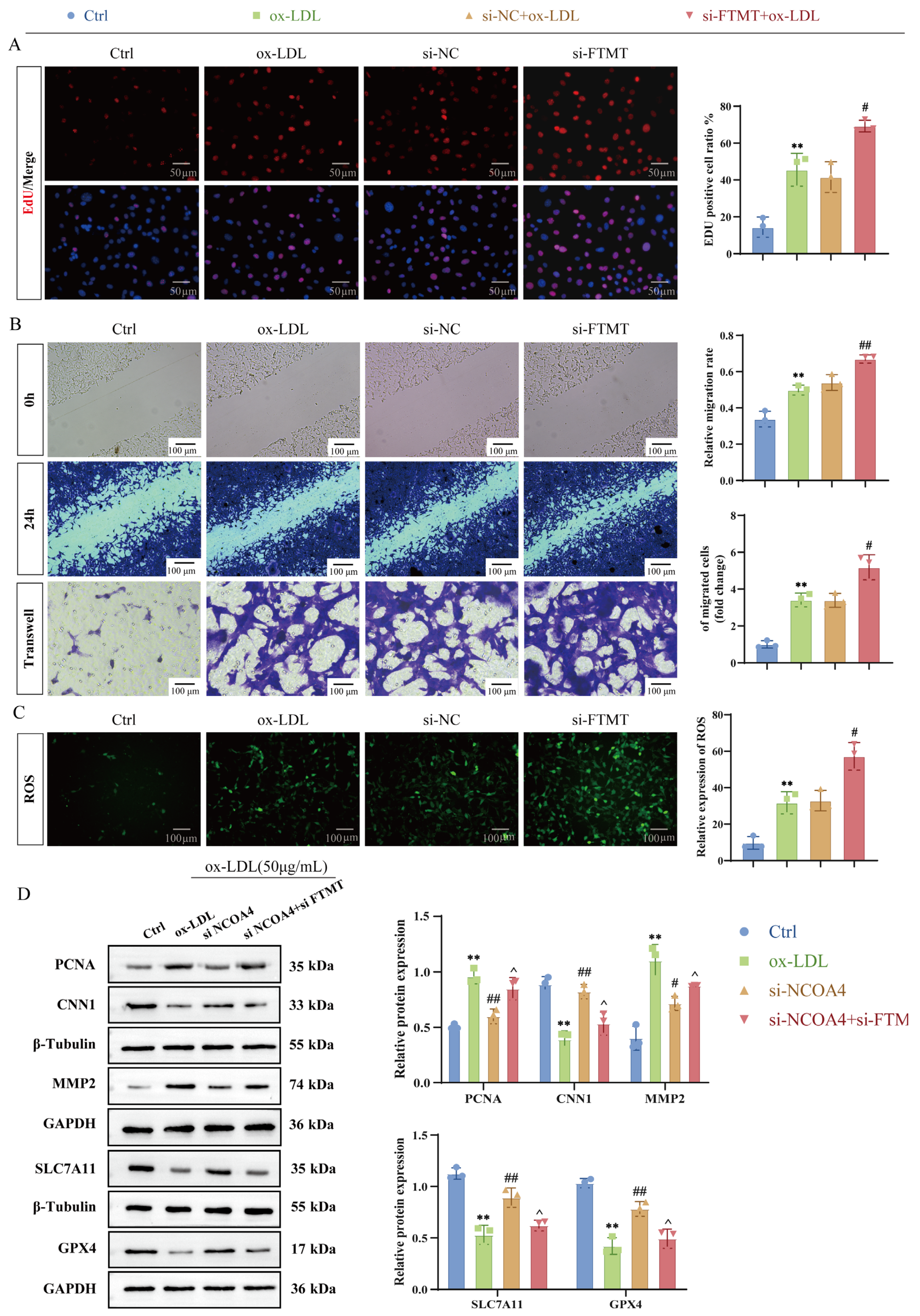 Nutrients 17 03713 g004