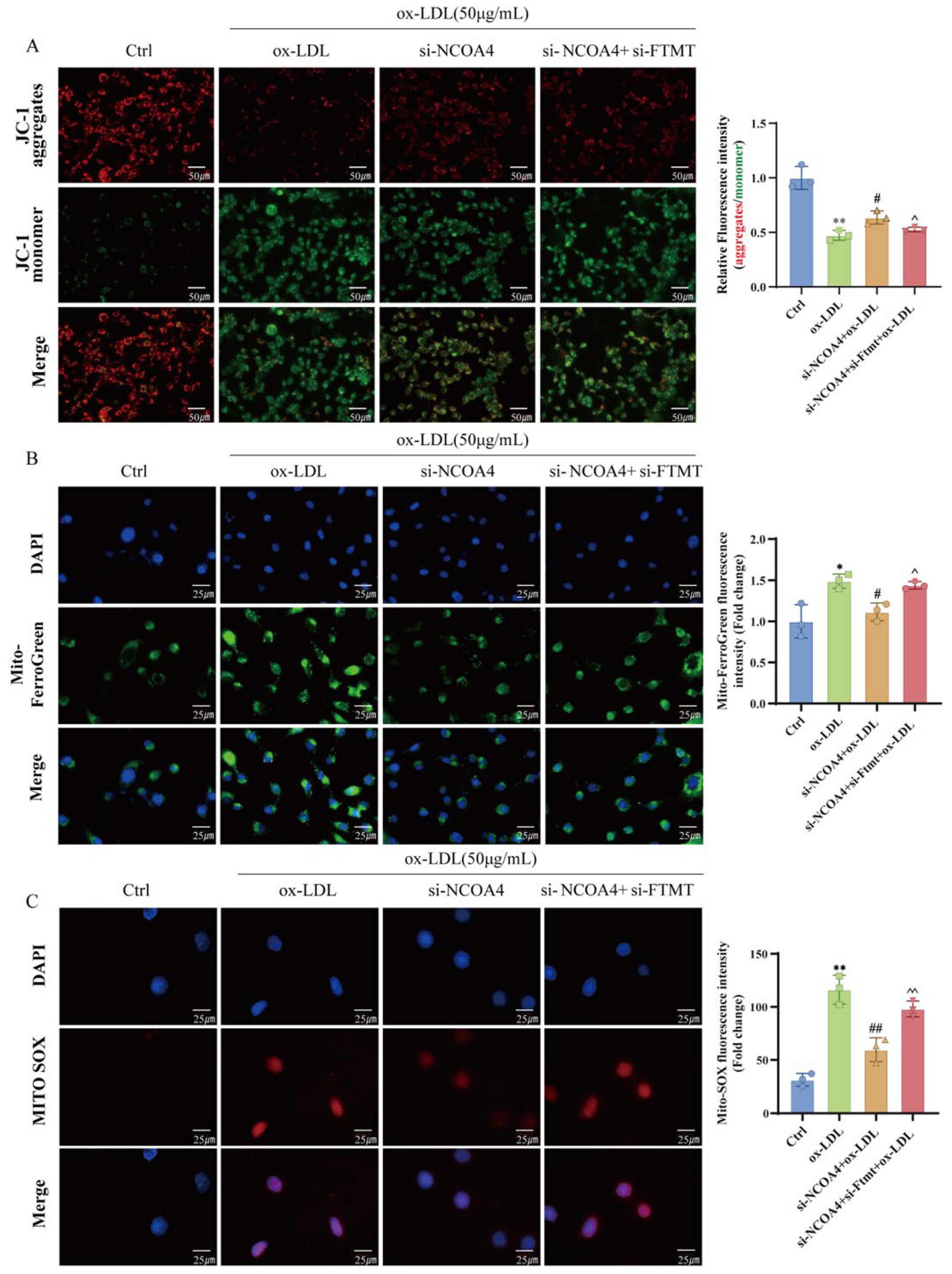 Nutrients 17 03713 g005