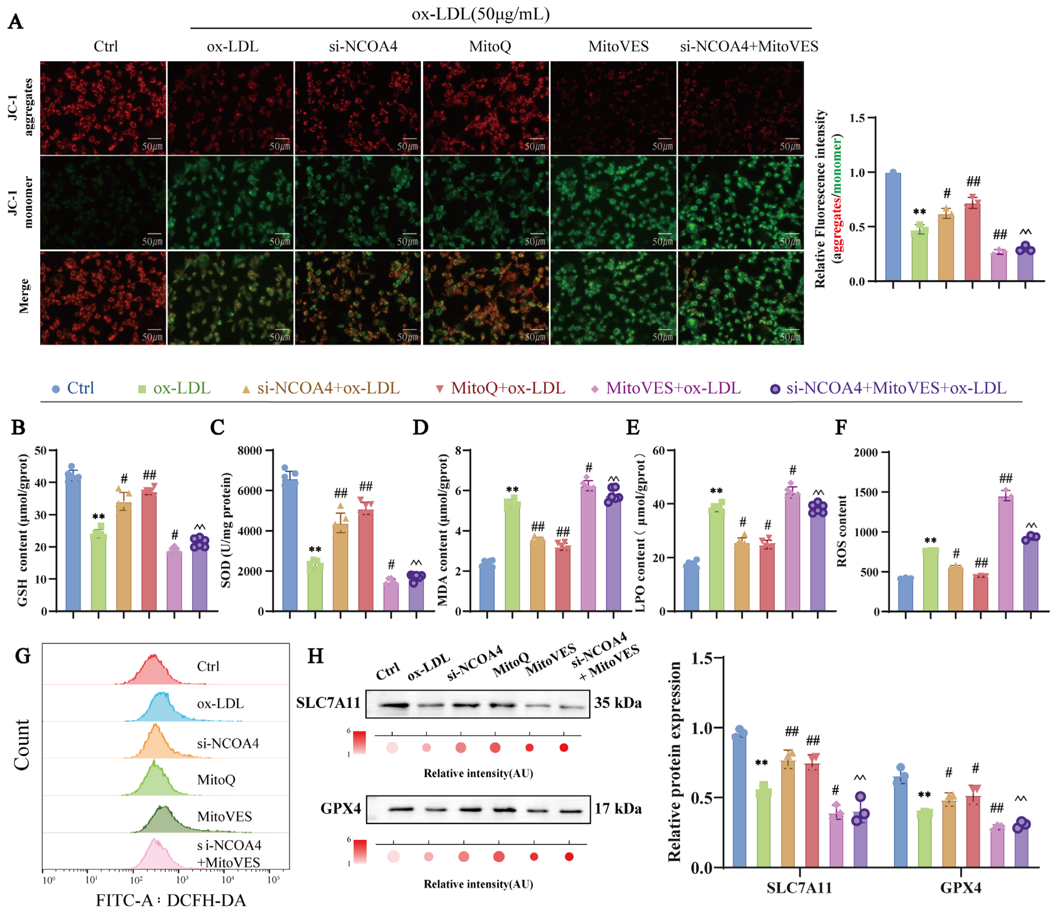 Nutrients 17 03713 g006